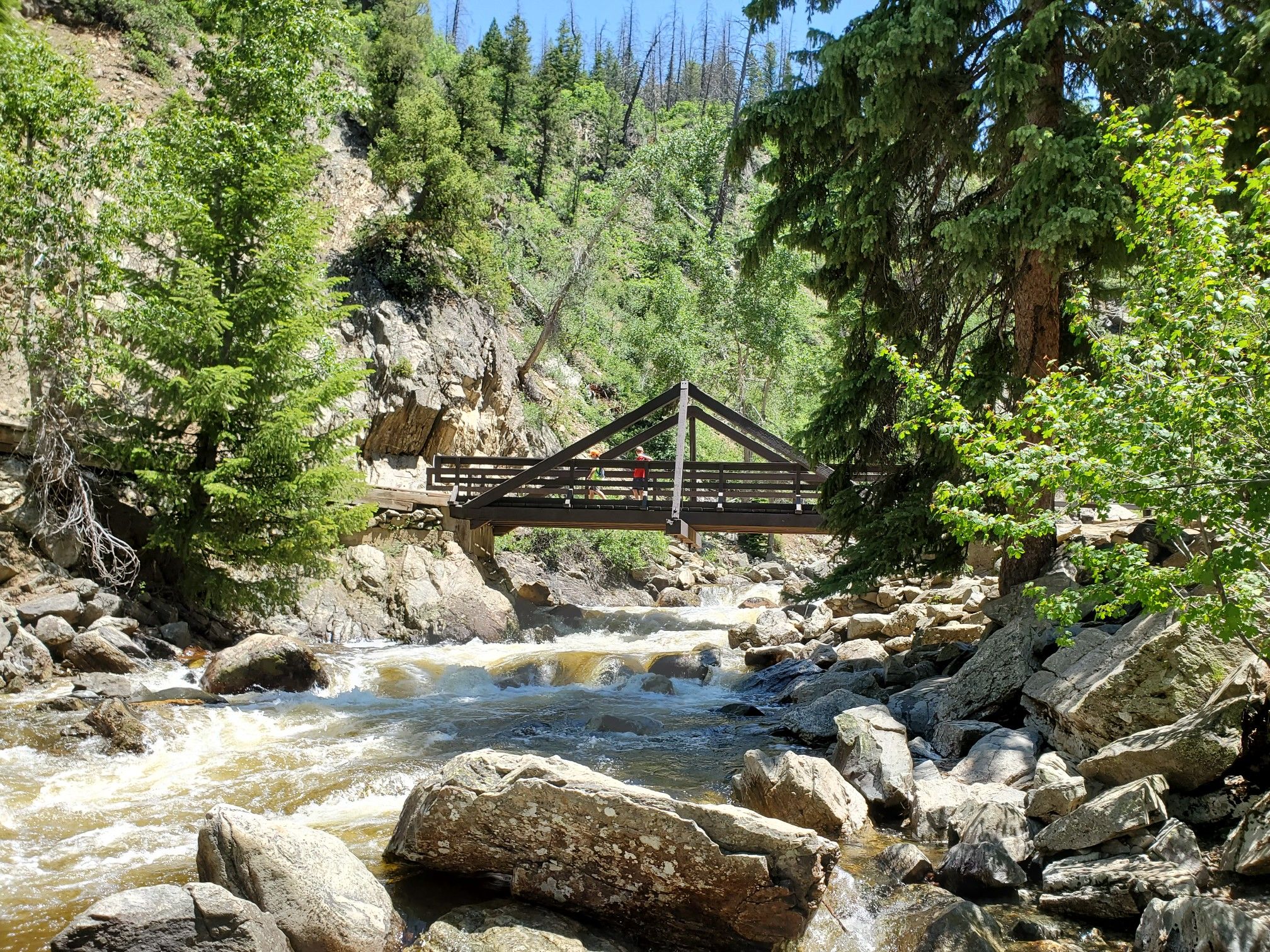 Wooden bridge over a rushing river in a green forest. - Sanctuary and Skyline Loop Trail
