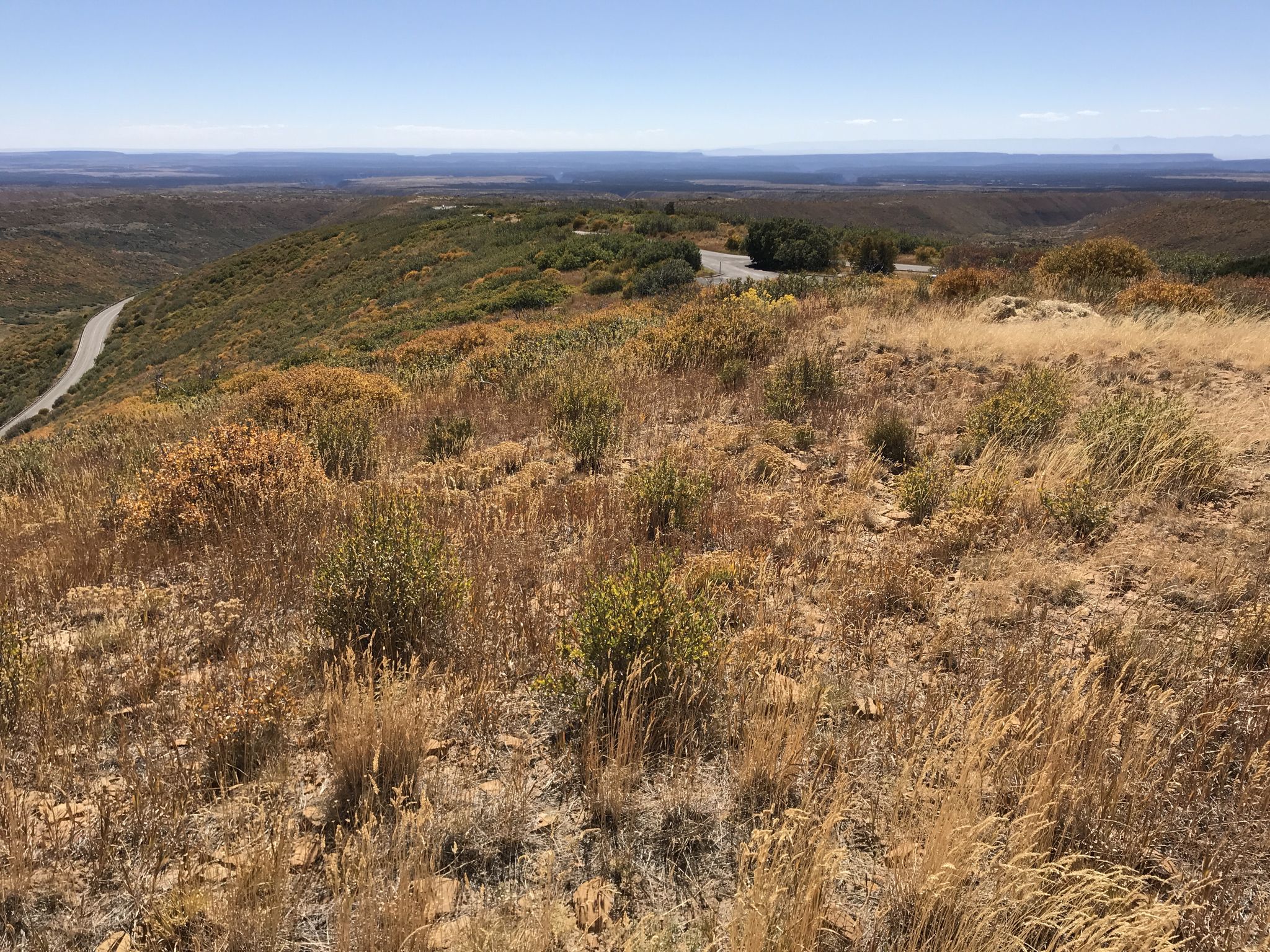 Dry, golden grass in the foreground overlooks a distant road and valley. - Park Point Trail