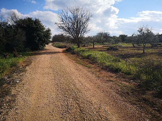 In uscita da Neviano