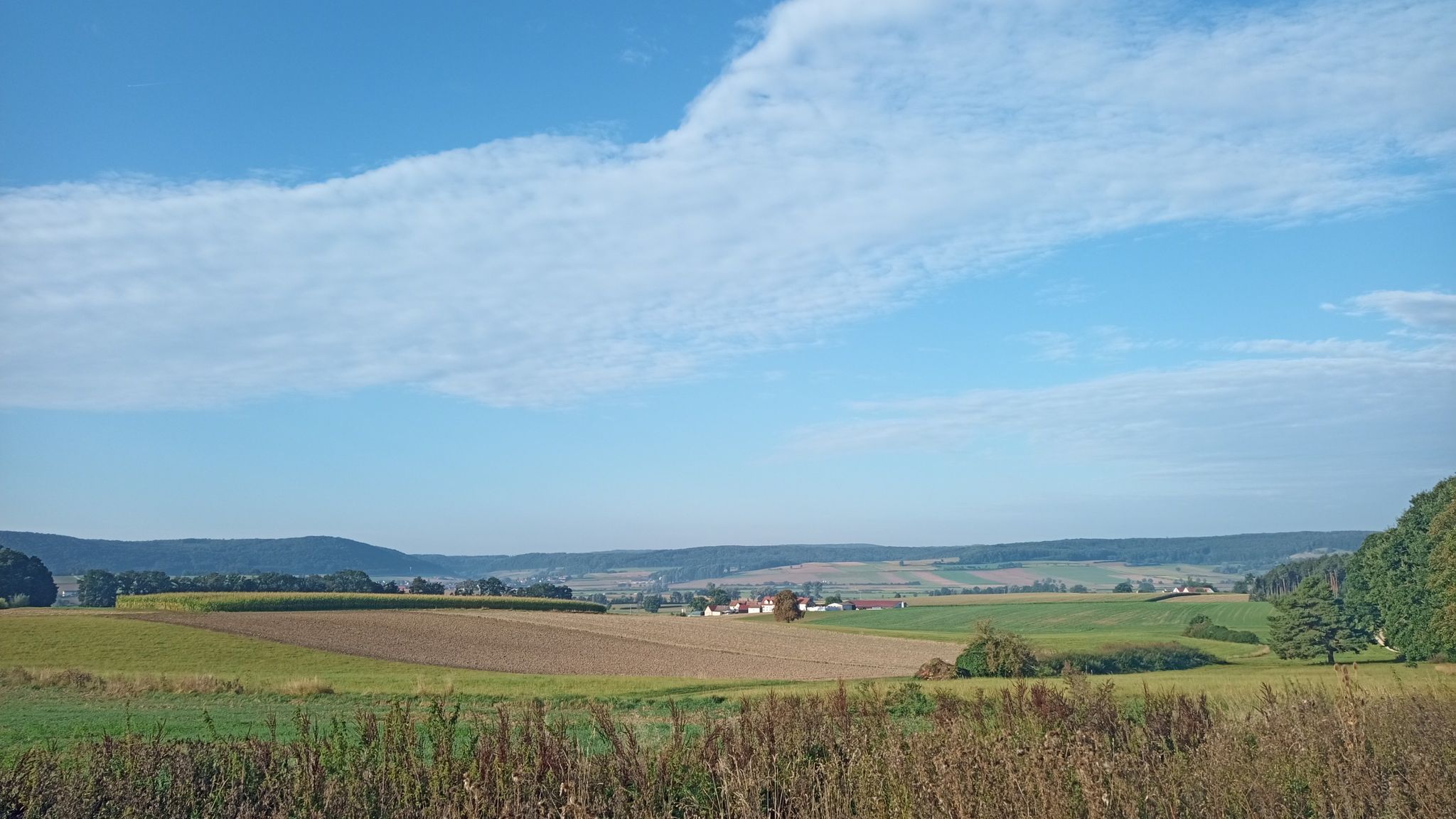 Aussichten am Fuße des Trommetsheimer Bergs