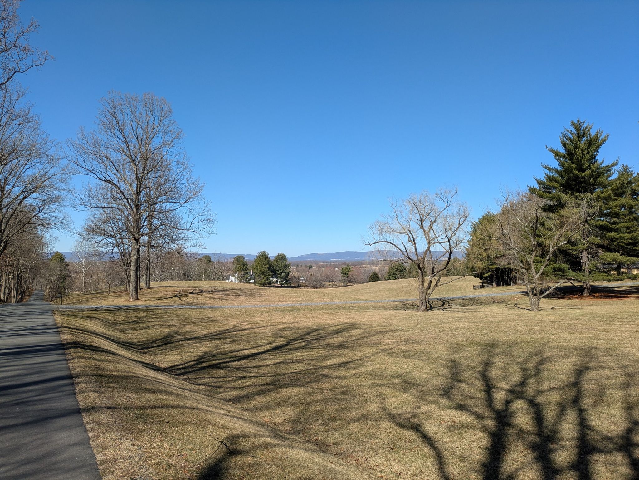 Looking over the nice estates to the nearby foothills of the Blue Ridge