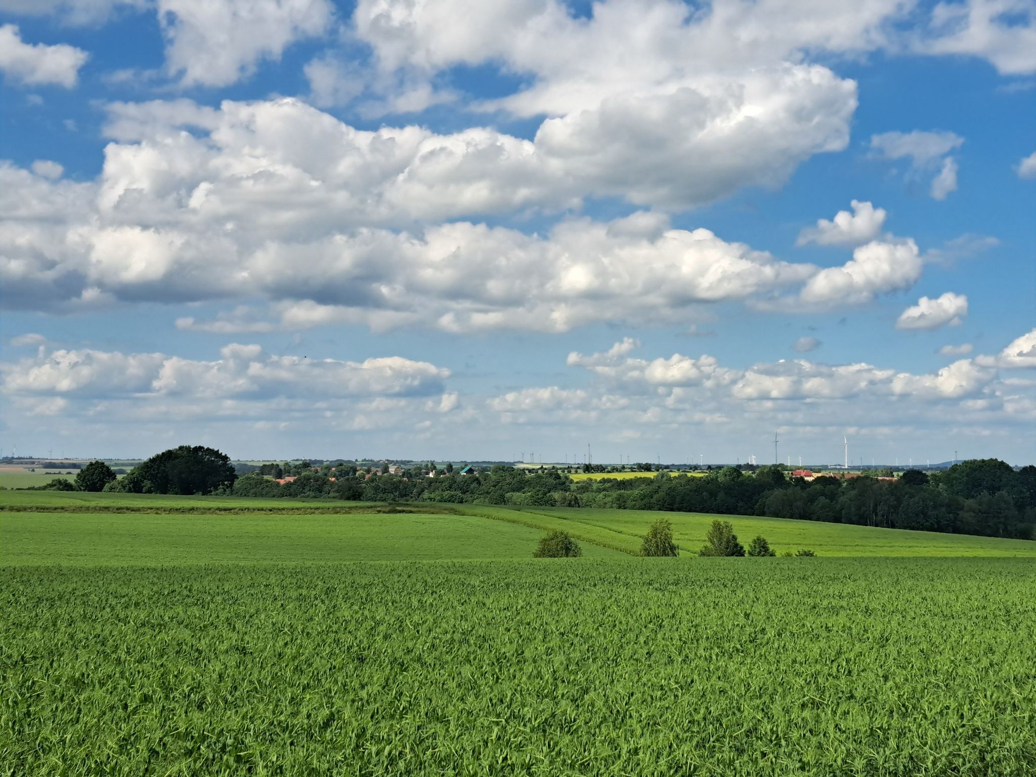weitblick