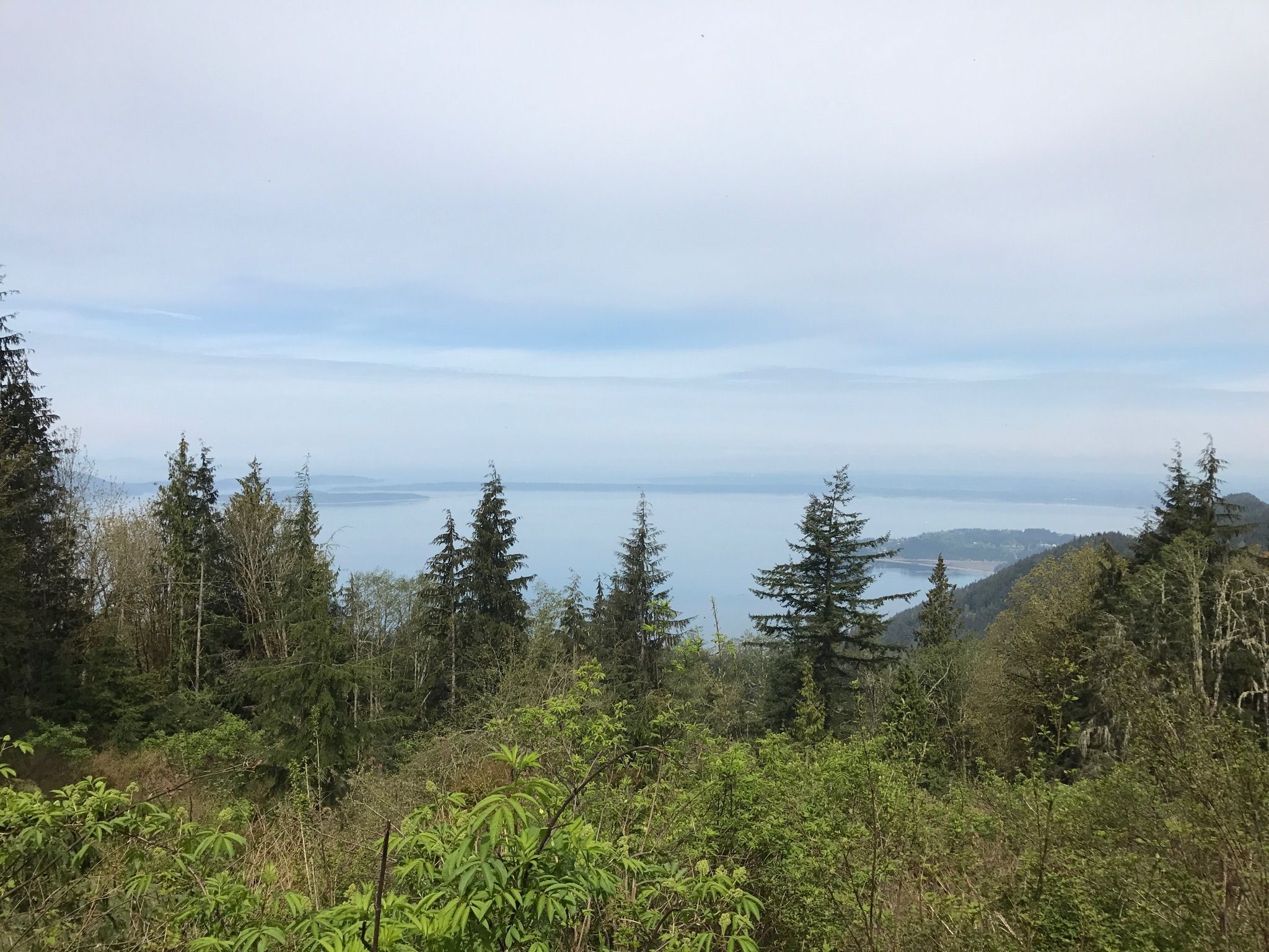 Forested hillside overlooks a vast body of water under an overcast sky. - Rock Trail to Lost Lake Loop
