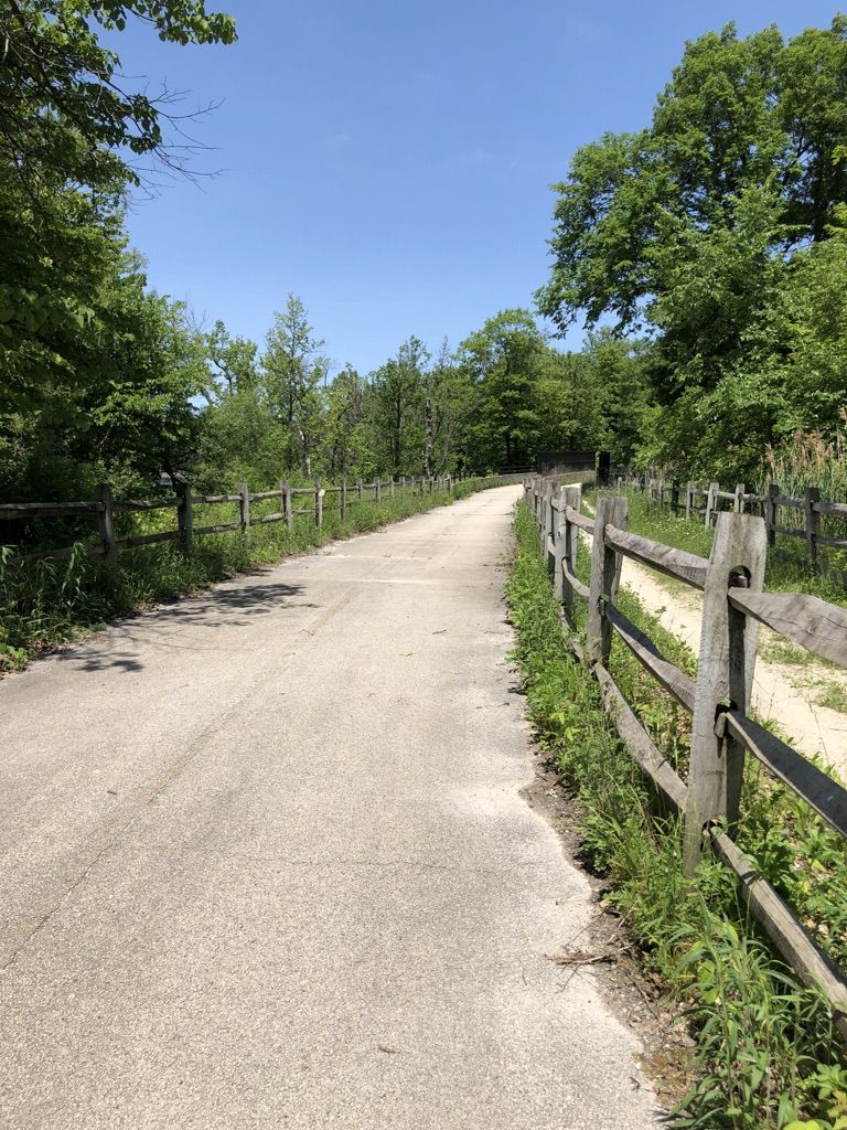 A sunny dirt path lined with a rustic wooden fence through green trees. - Des Plaines River Trail loop from Wheeling