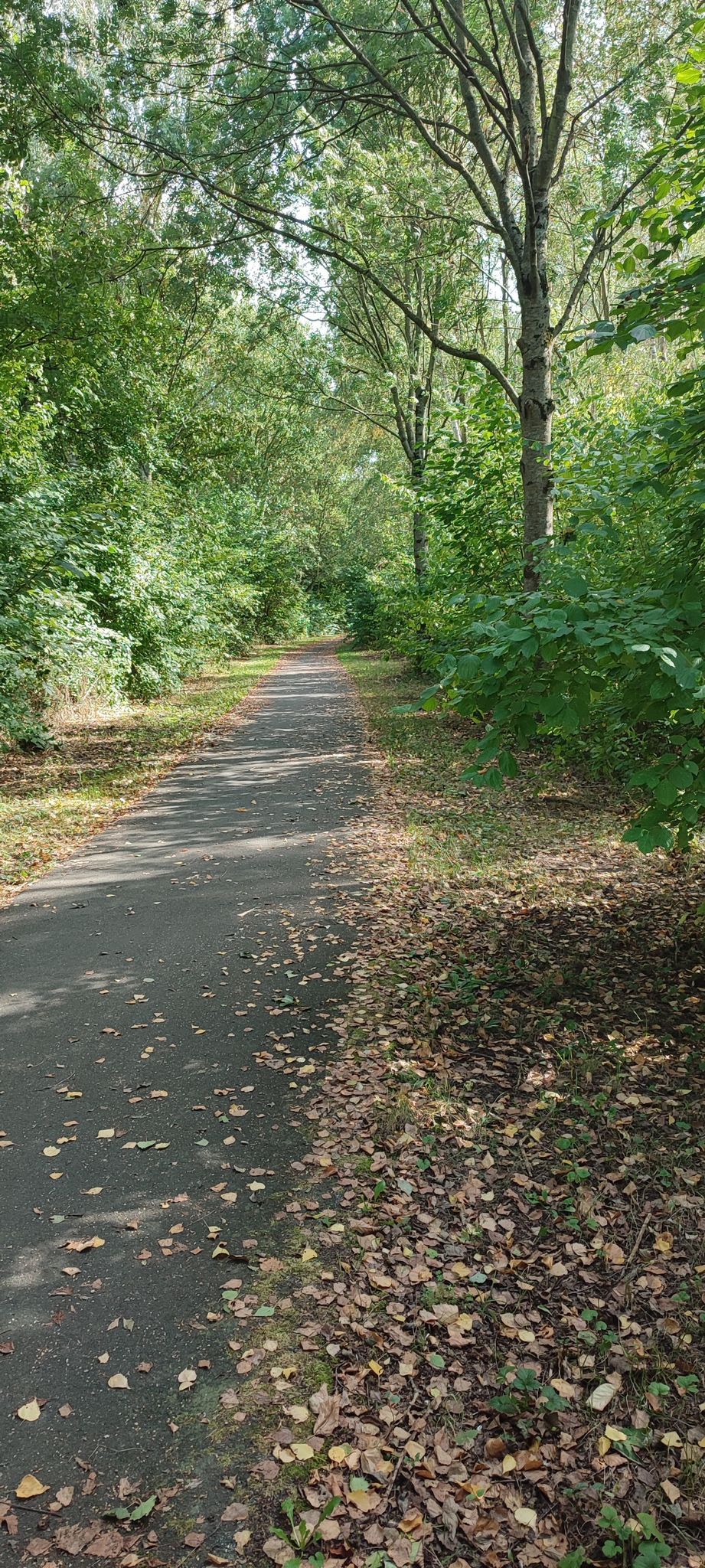 Fahrradweg durch Holzminden