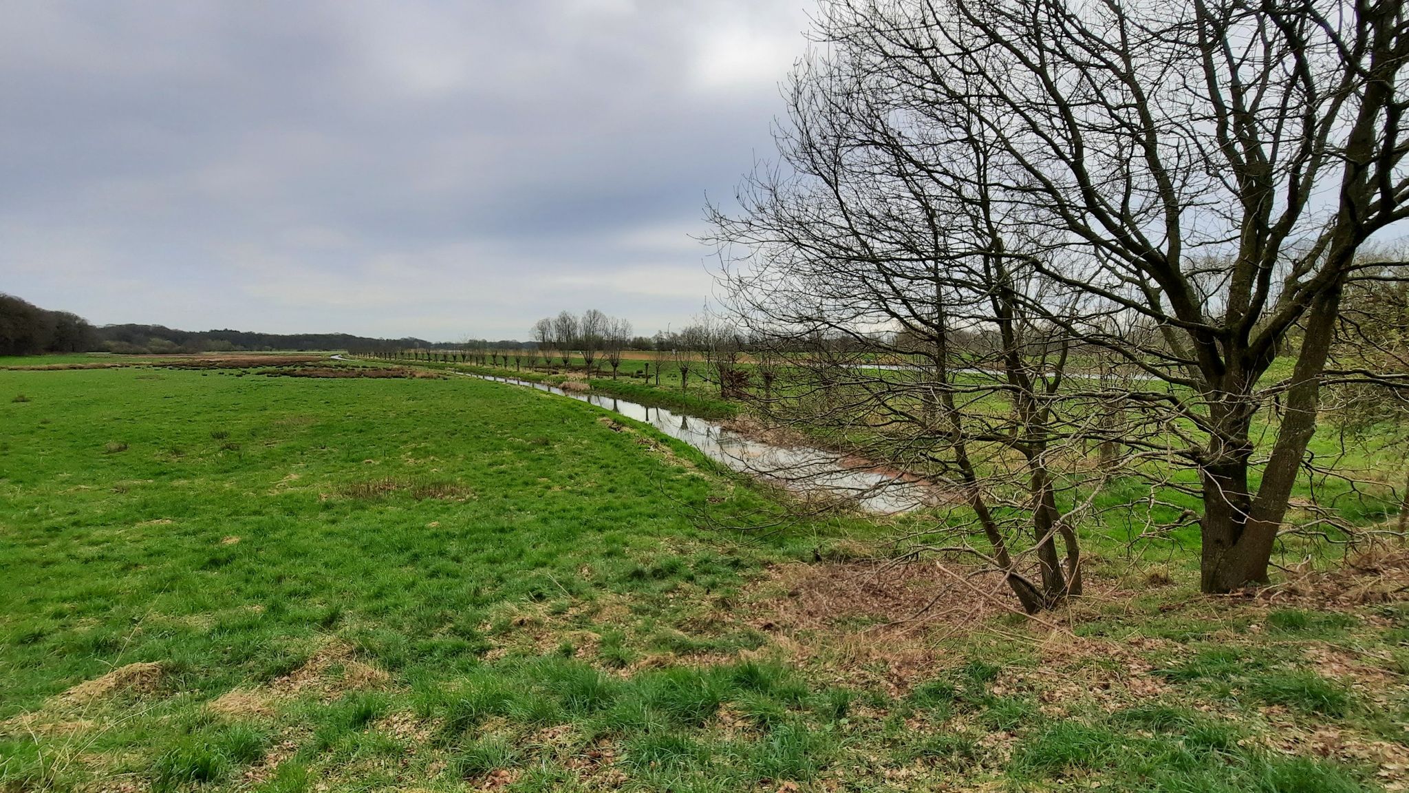 Hollands, eh, Gelders Landschap naast de Oude IJssel