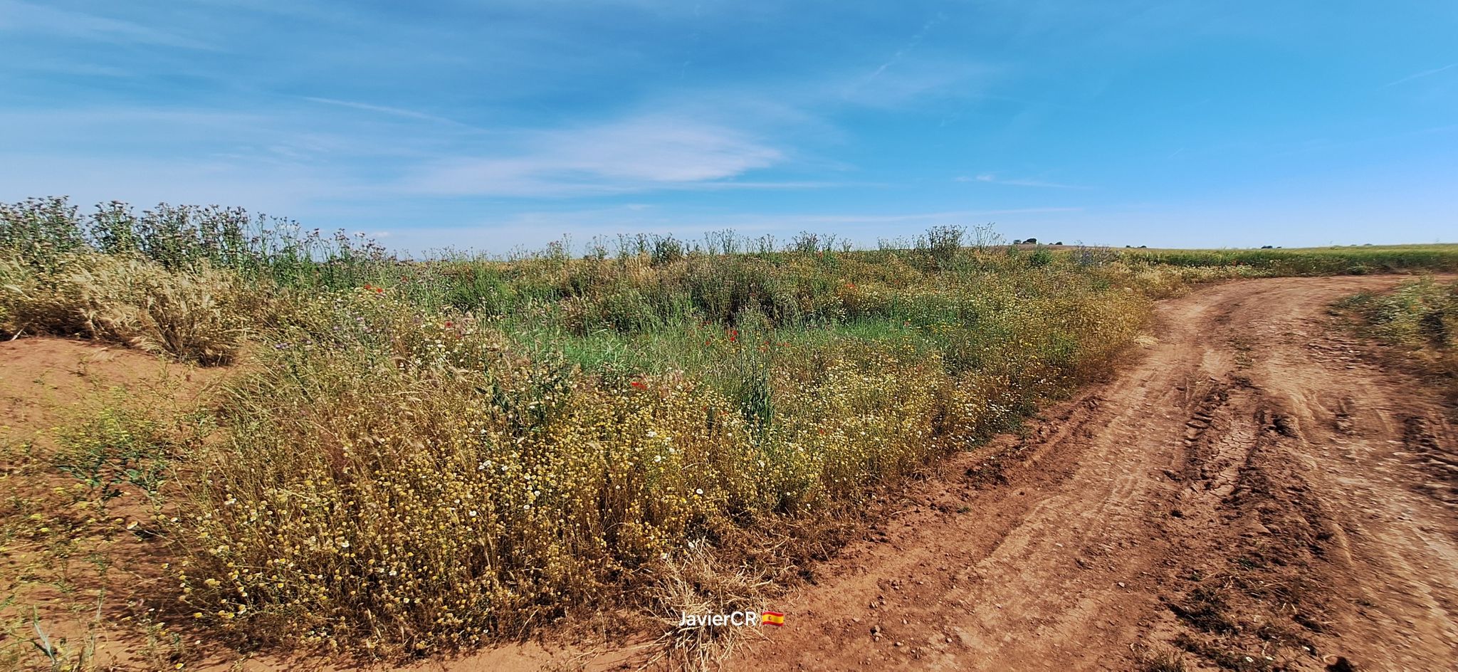 Cruce con el cauce del río Azuer