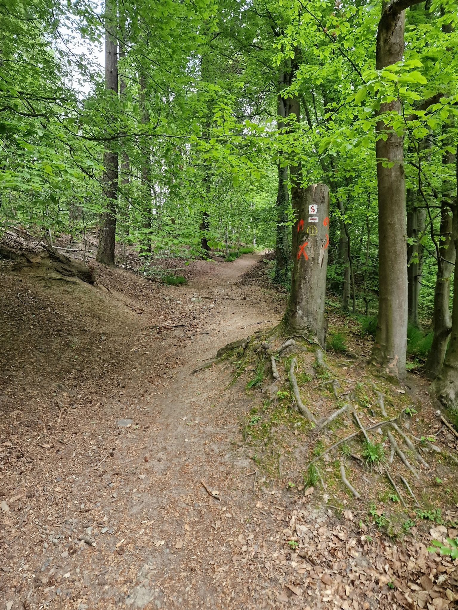 Aufstieg zum Herrgotzberg