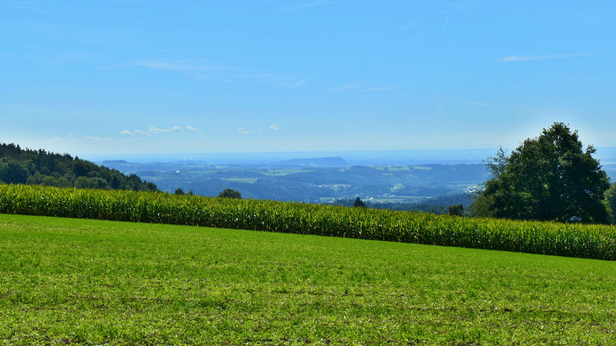 Blickrichtung Bogenberg