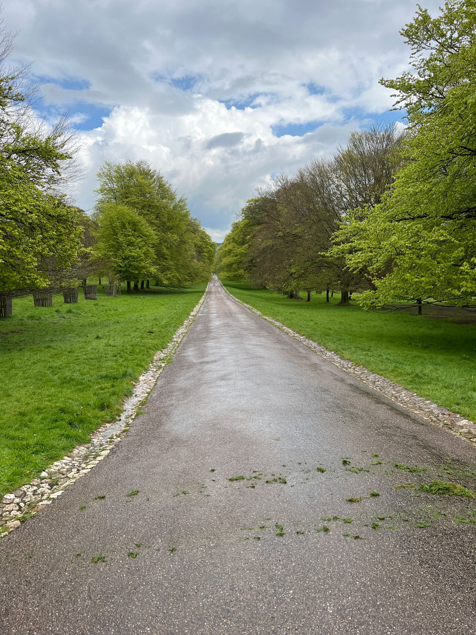 Allee zum Bahnhof Bodmin - Parkway