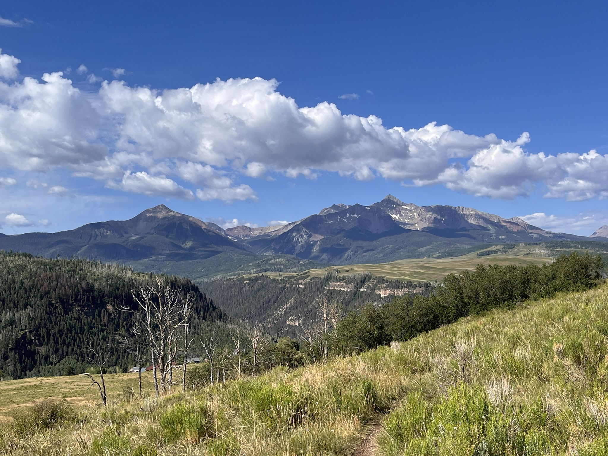 Sunny mountain landscape with distant peaks, forested valley, and grassy foreground. - Locals loop
