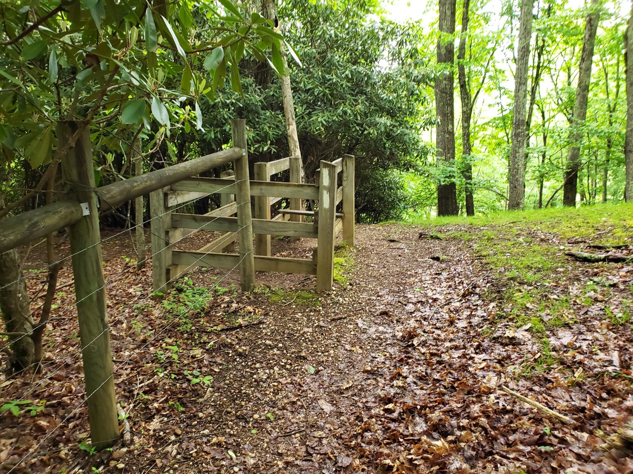 A wooden stile gate on a leaf-covered dirt path in a green forest. - Appalachian Trail: Elk Garden to Mount Rogers