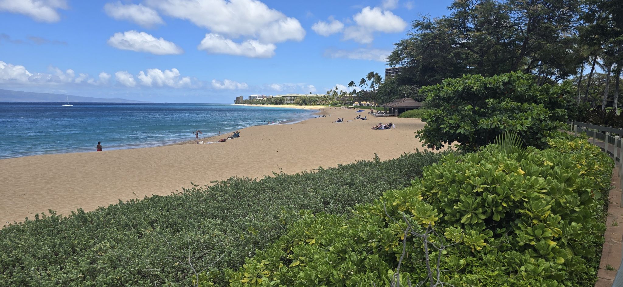 Sunny beach with blue ocean, green foliage, and distant people. - Farmers market – Black Rock Beach loop from Kaanapali