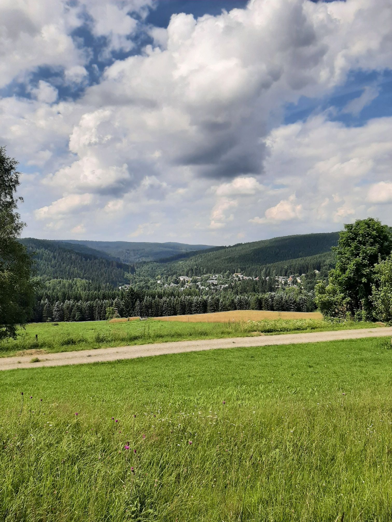 Erlabrunn