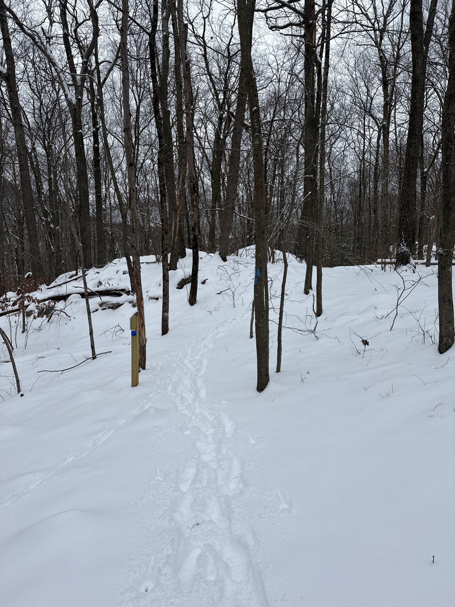 Footprints in deep snow lead into a bare winter forest with a trail marker. - Bennett's Pond – Bennett's Pond State Park loop from Ridgebury