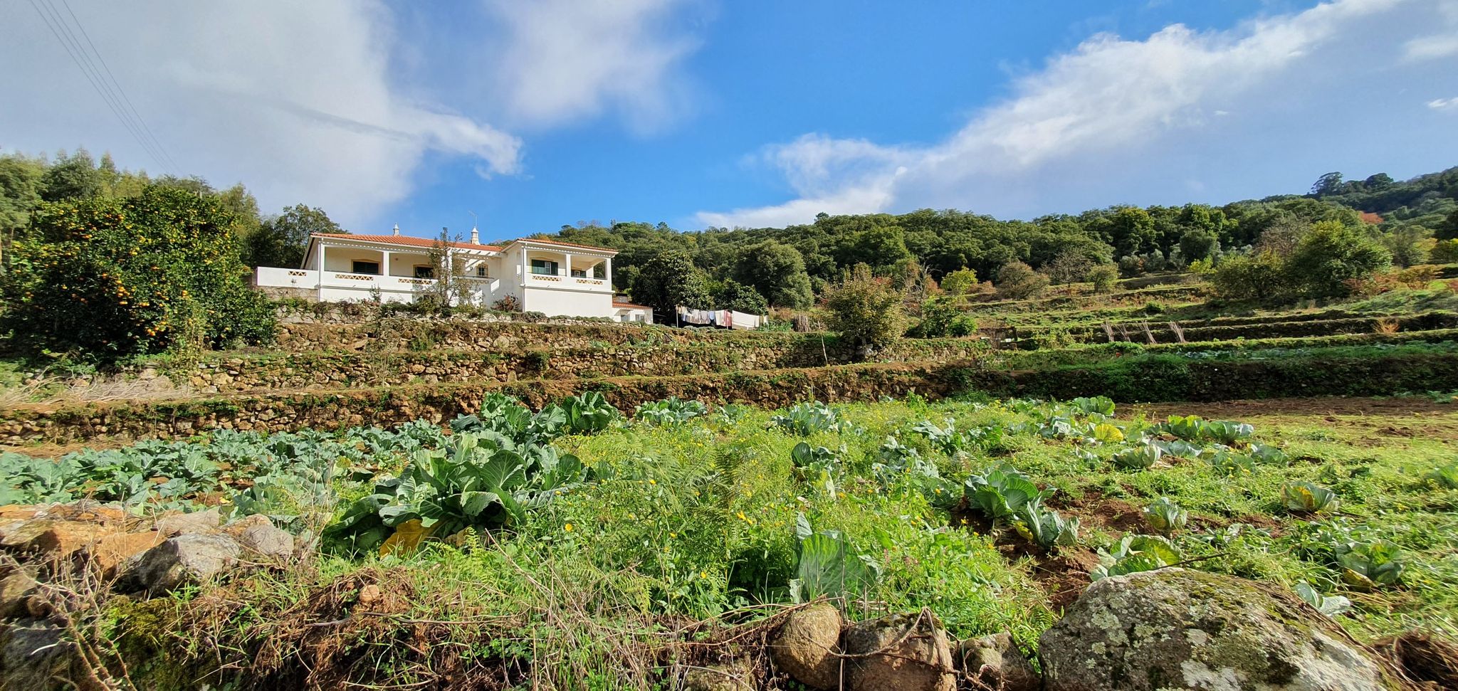 Villa mit Gemüse und Obst Terassen