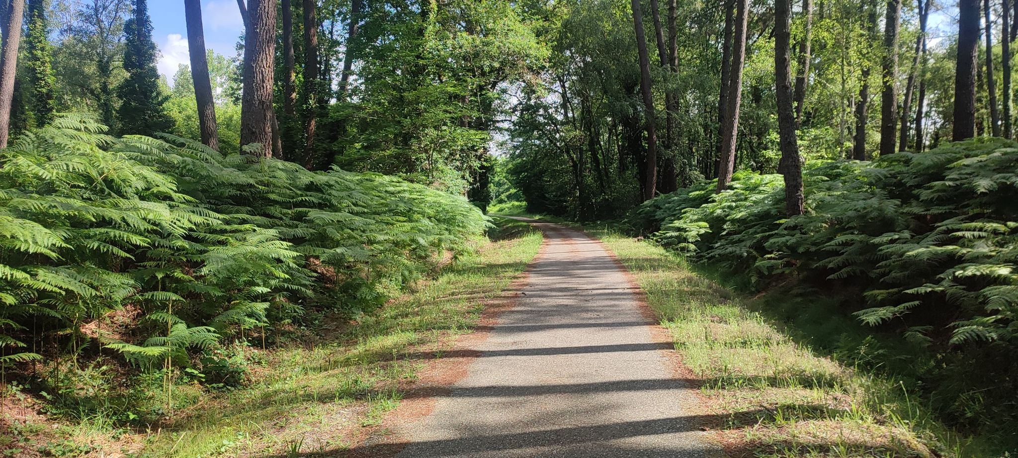 Bahntrassenradweg EV3, D802 nach Bazas