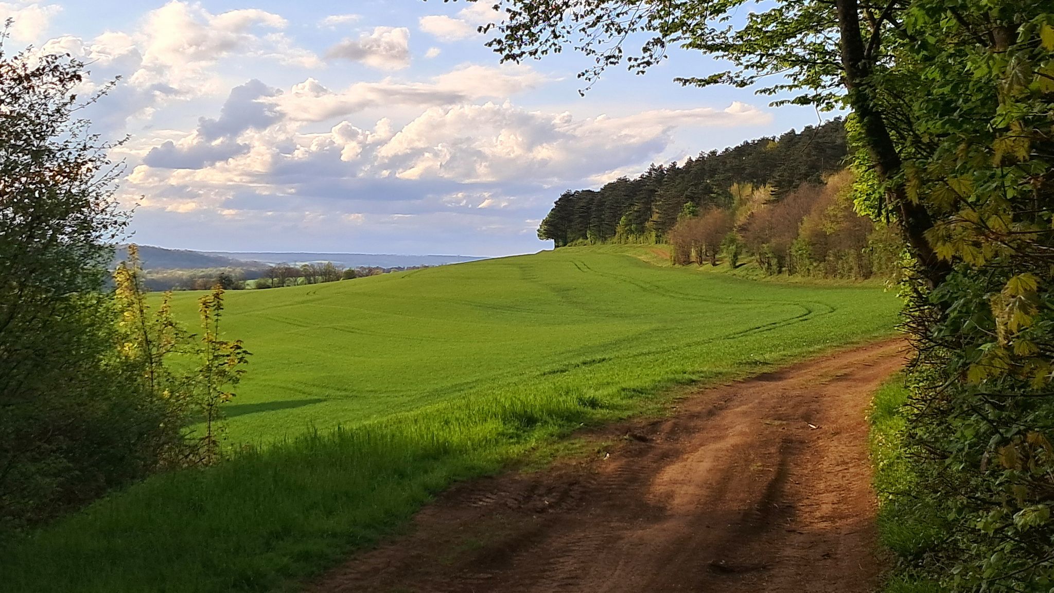 Chemin Bouxières Custines en lisière de Forêt