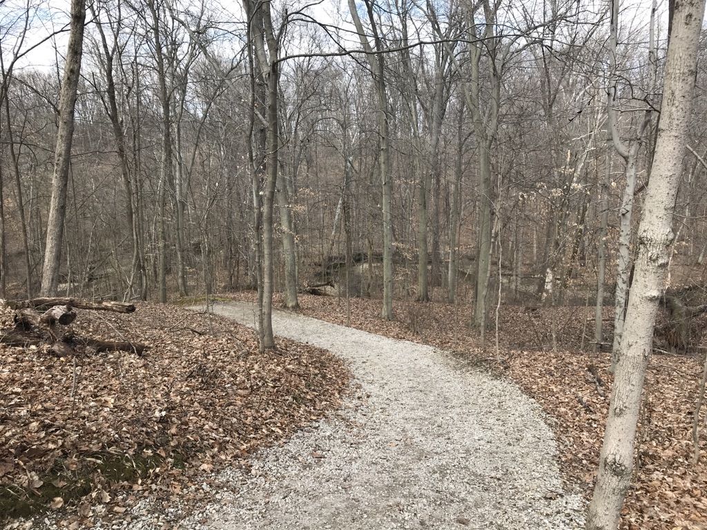 A winding gravel path leads through a forest of bare trees and fallen leaves. - Blackburn/Wesner Bridge – Slate Run Creek loop from Slate Run Metro Park