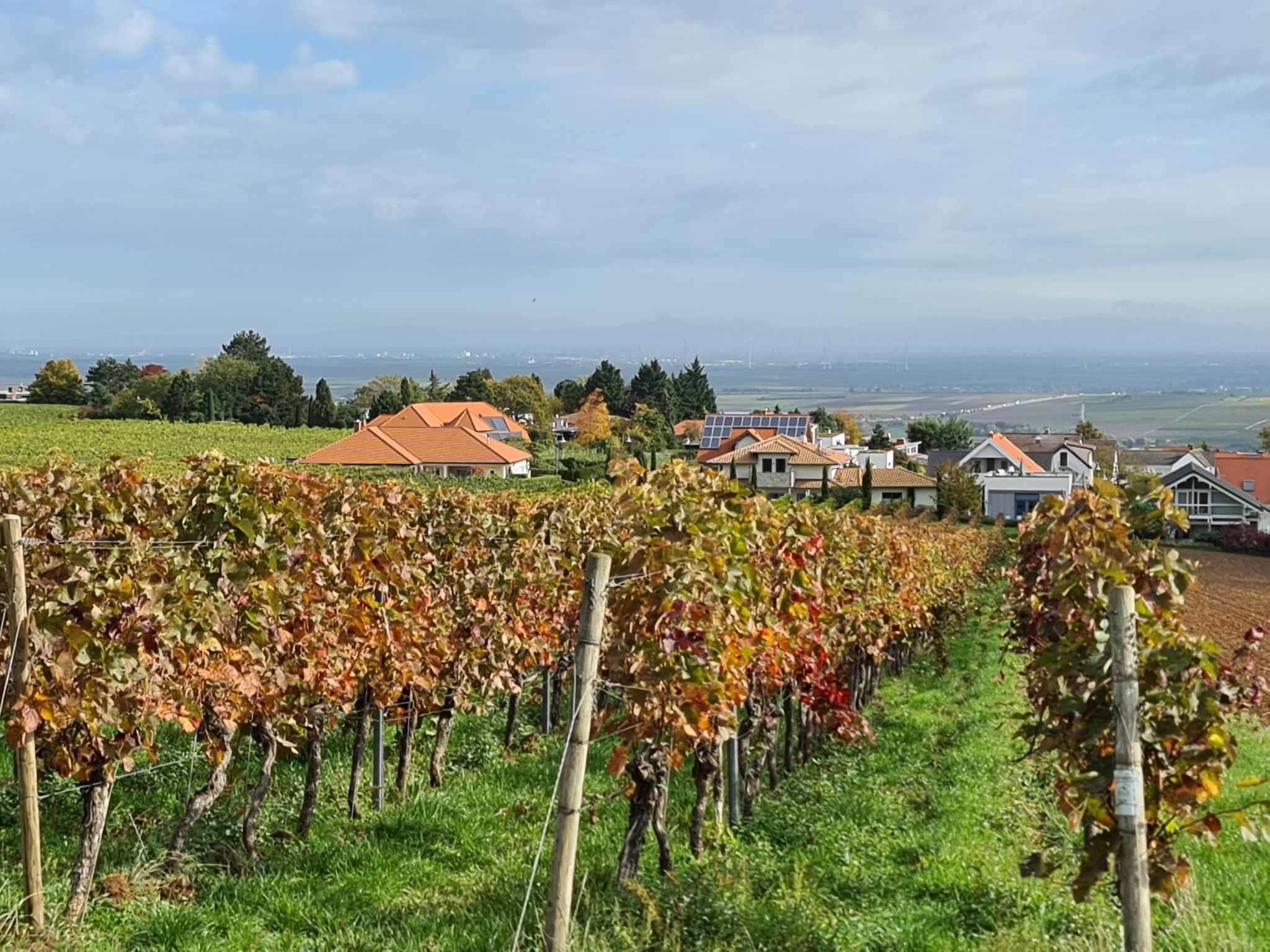 Battenberg, am Horizont der Odenwald