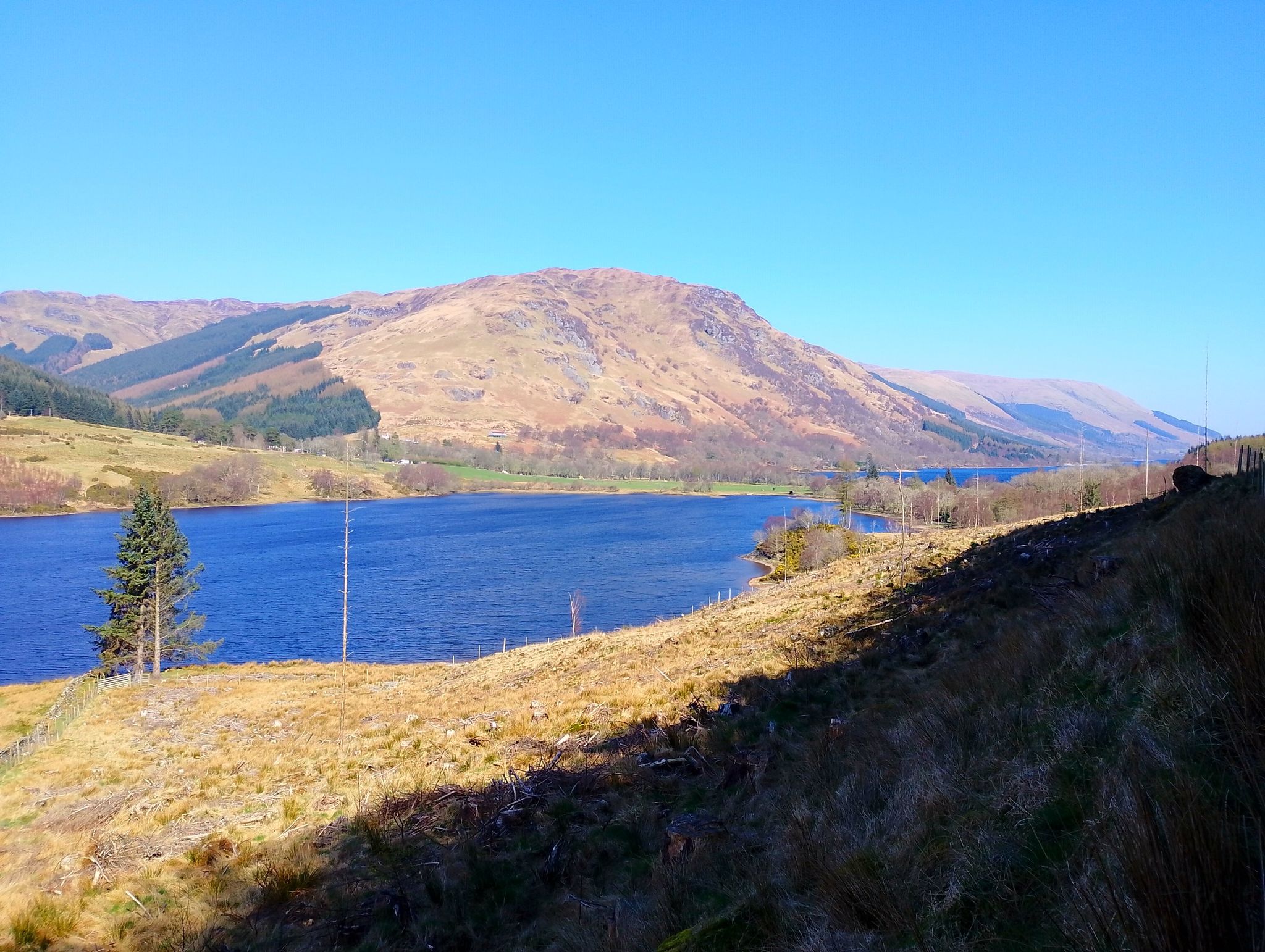 View of Loch Voil.