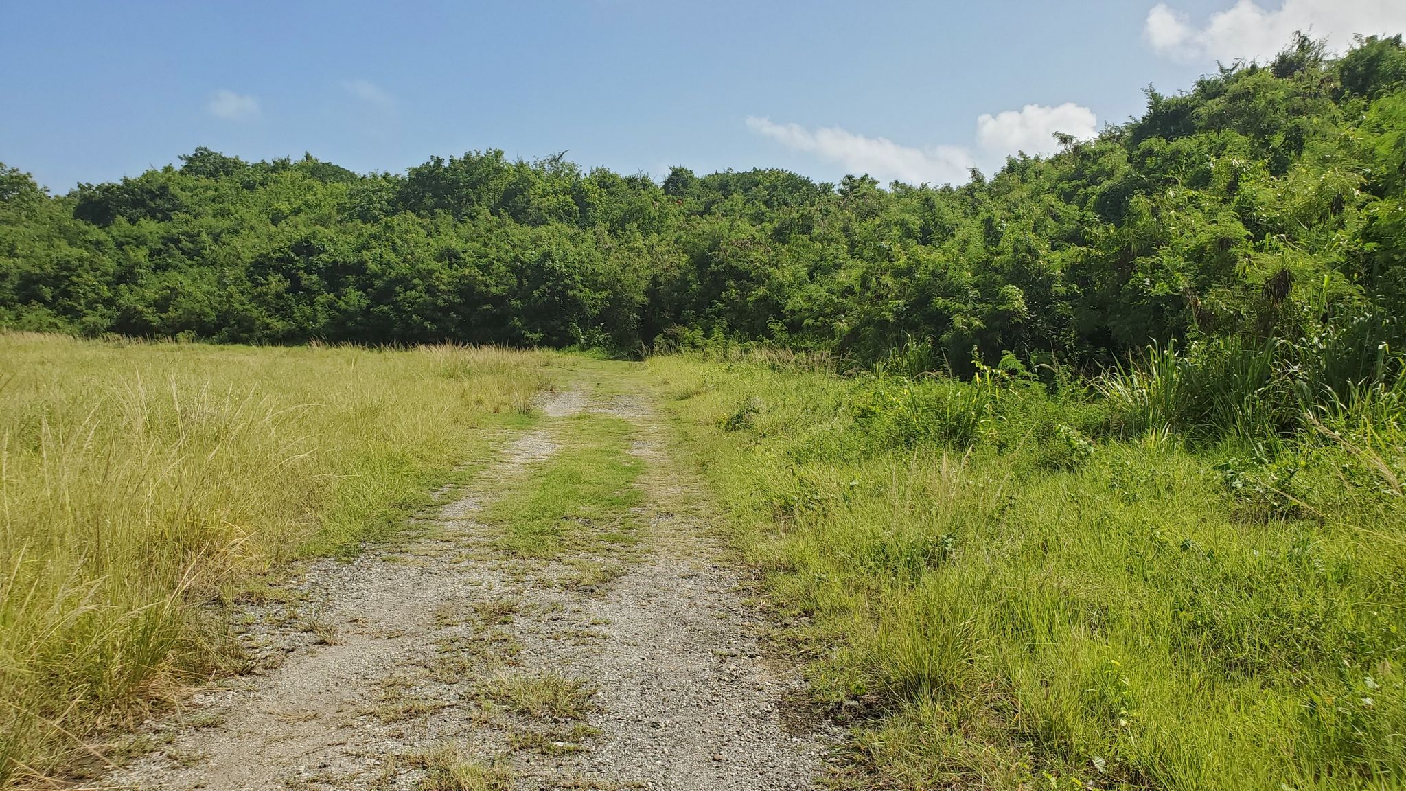 left trail