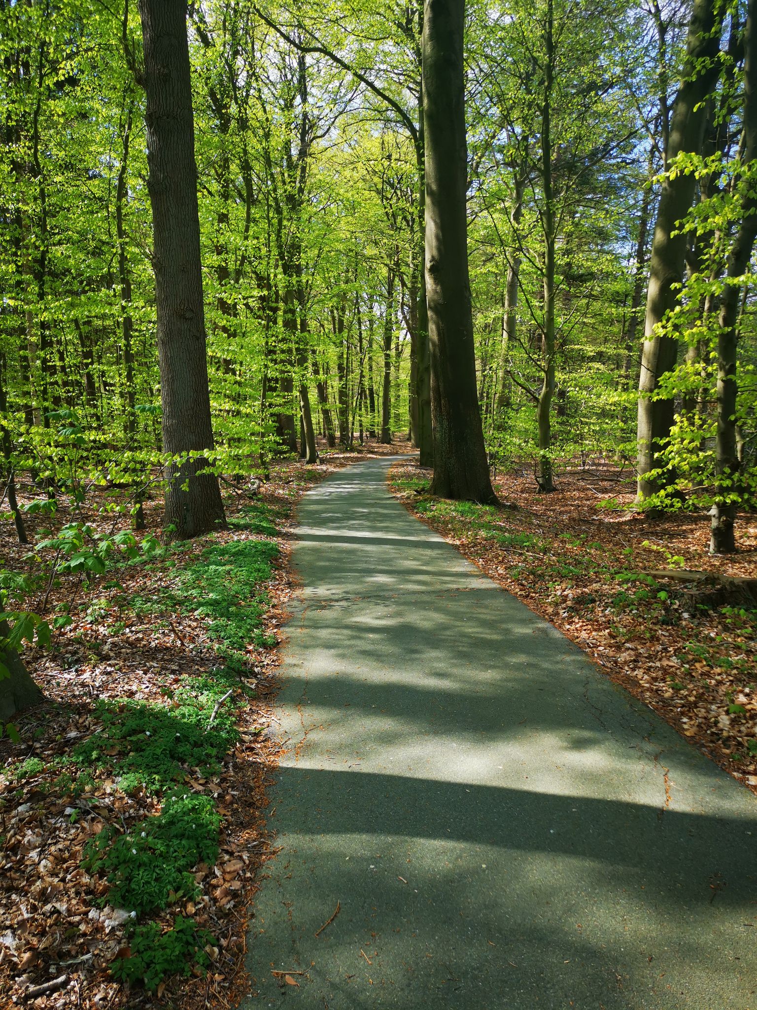 Fußweg Richtung Tannenfelde