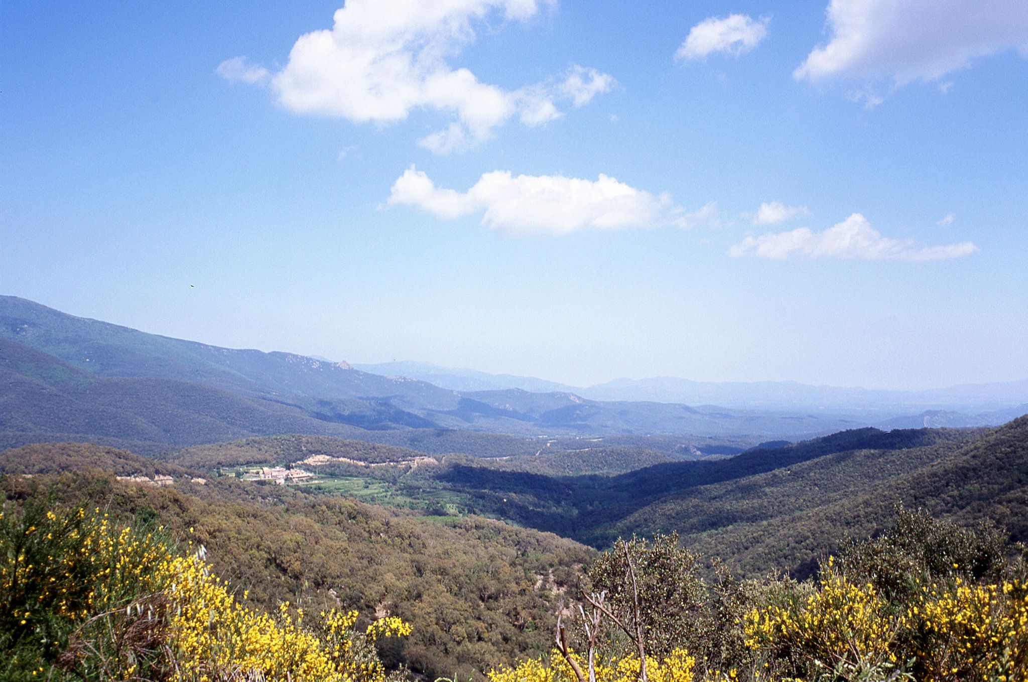 Arnera-Tal