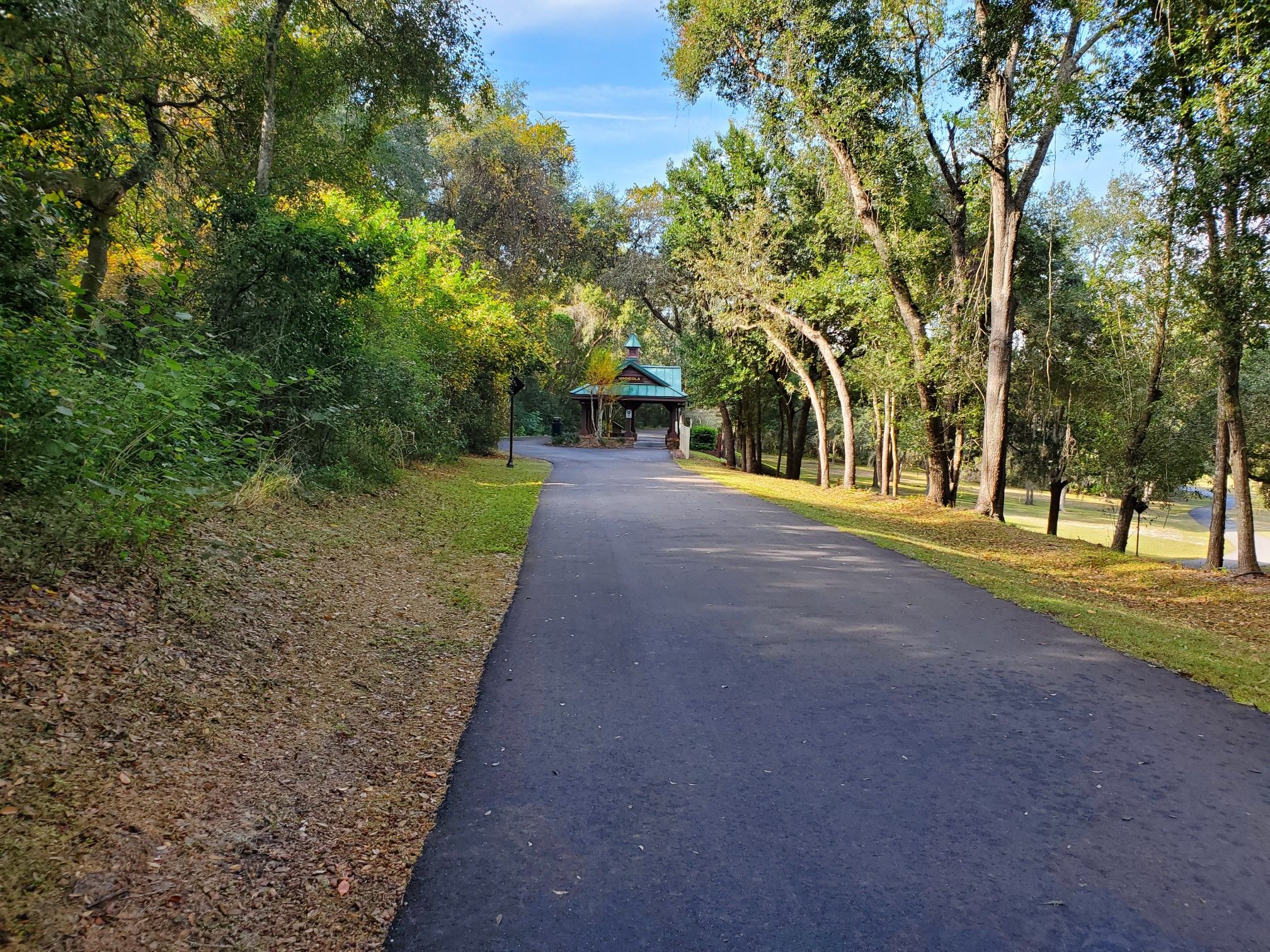 Sunny paved road winding through lush green trees towards a distant building. - Roadbike loop from Minneola