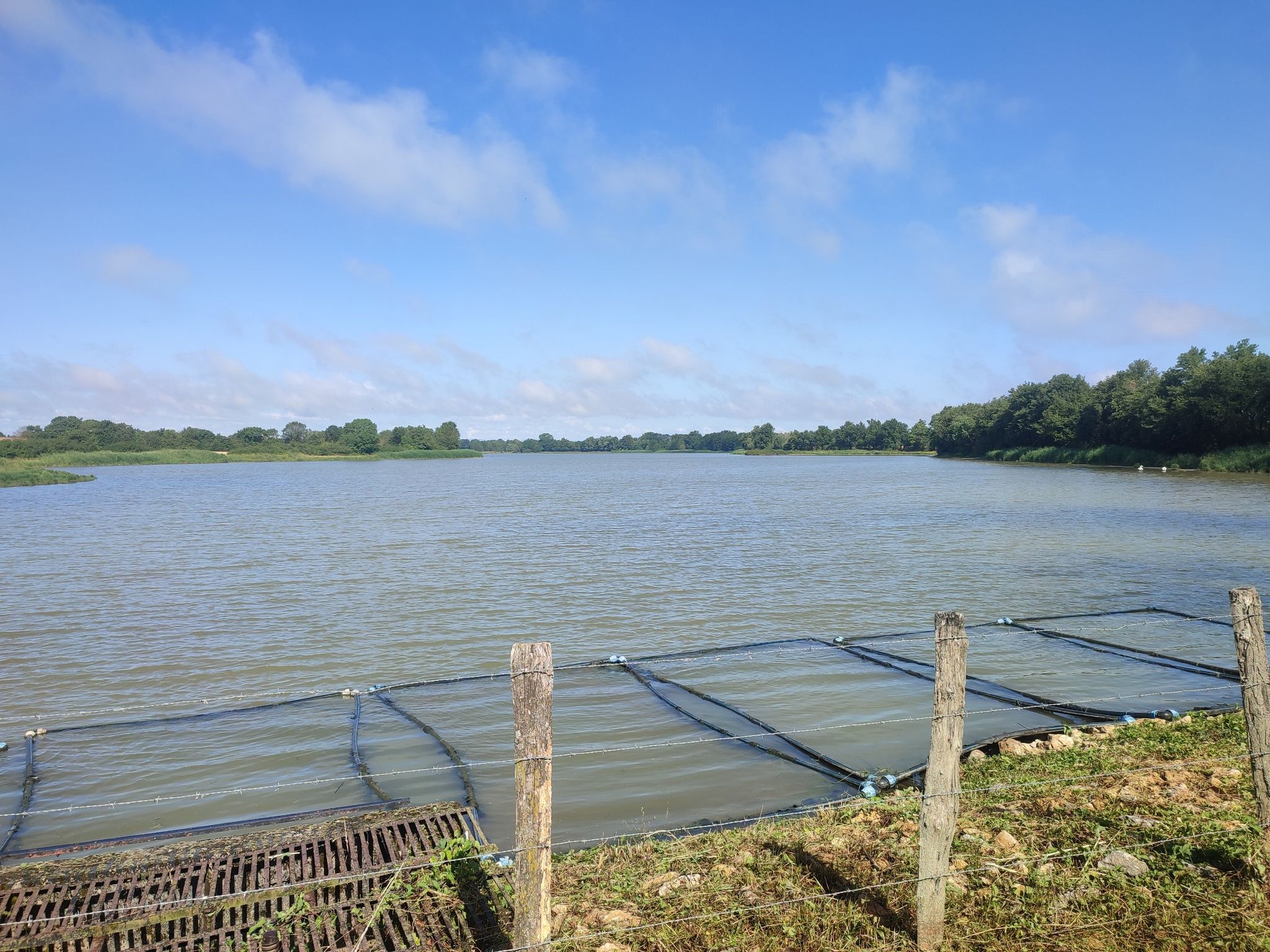 Teichblick Rollet