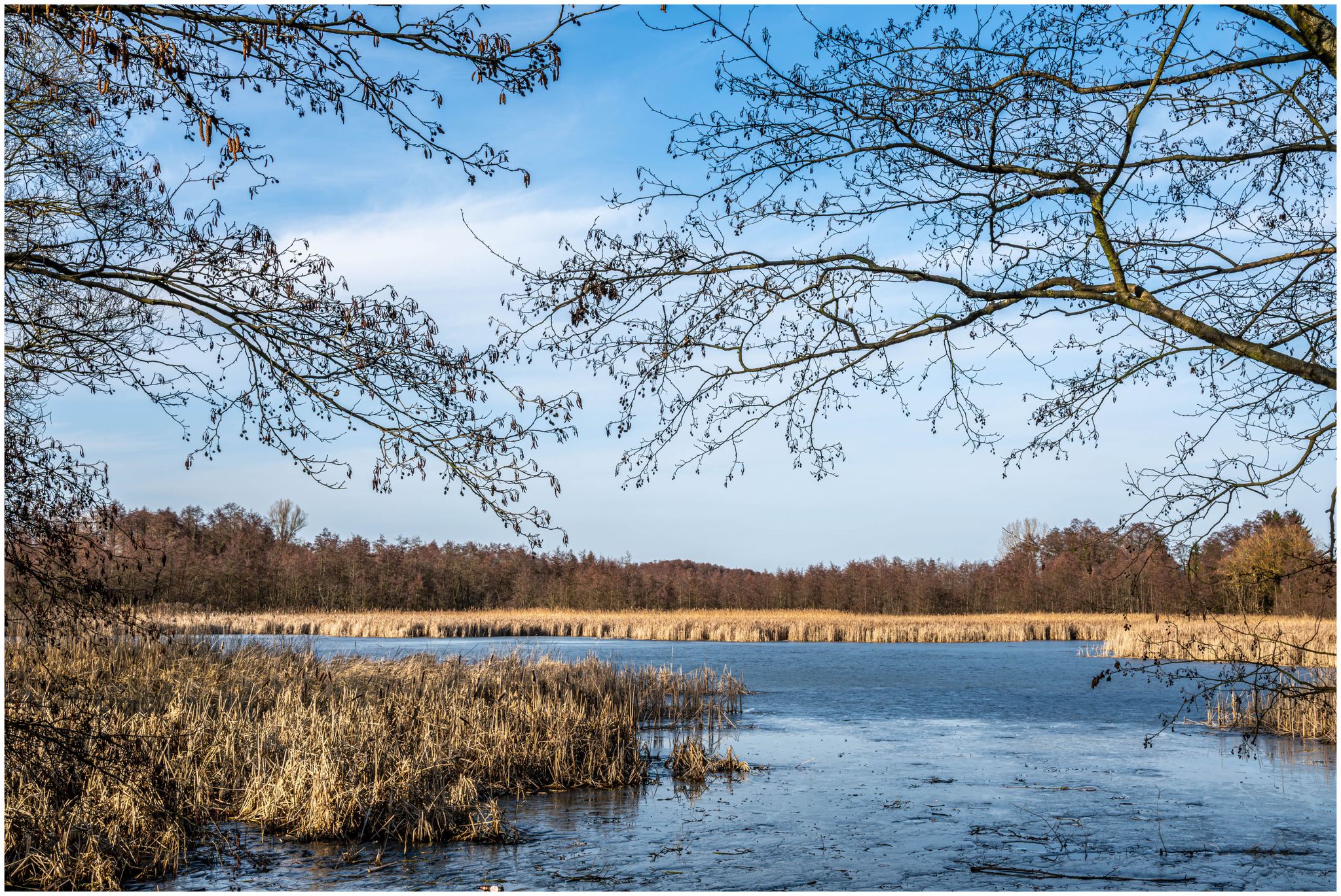 Mühlenteich