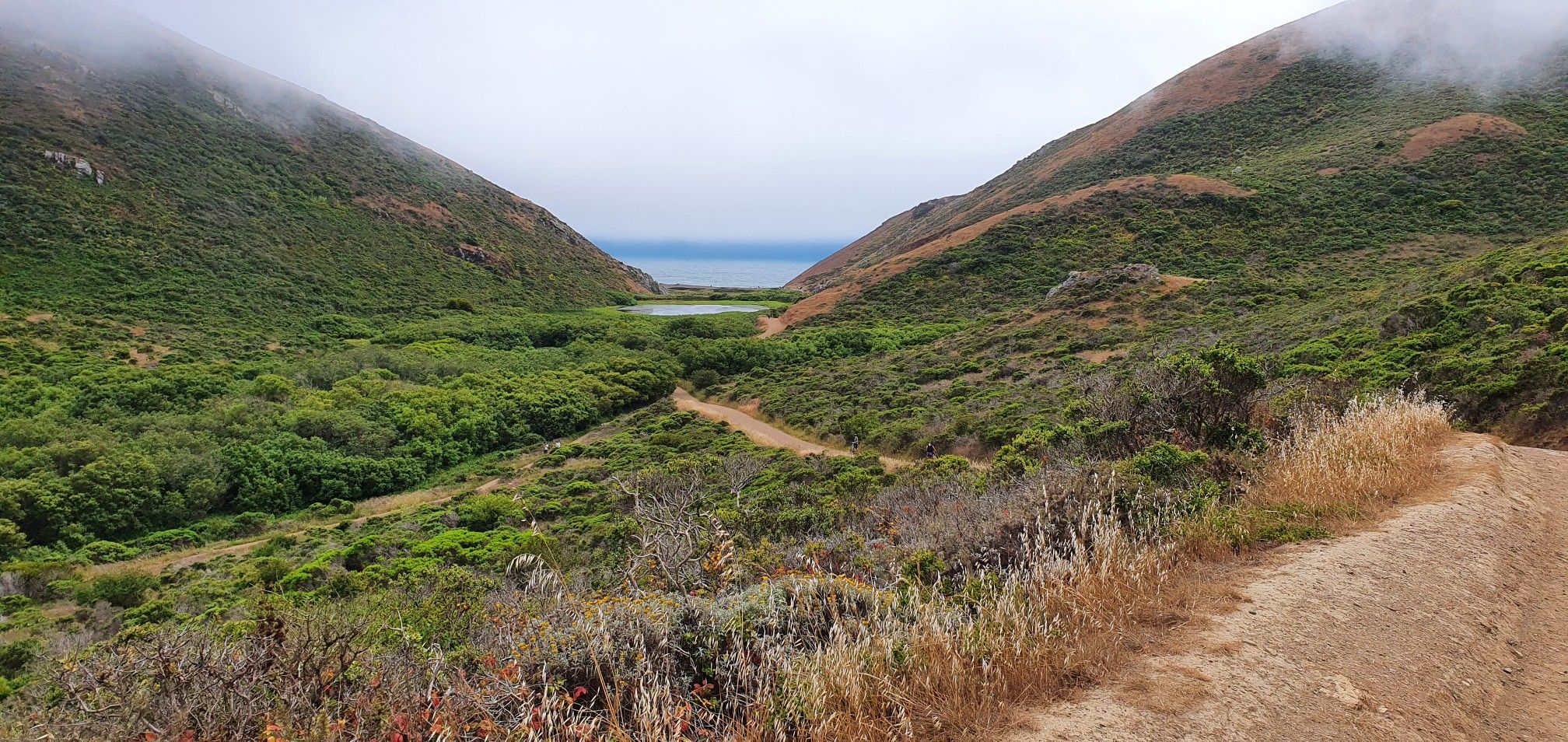 Misty valley leading to the ocean, with a dirt path. - Tennessee Valley Trail