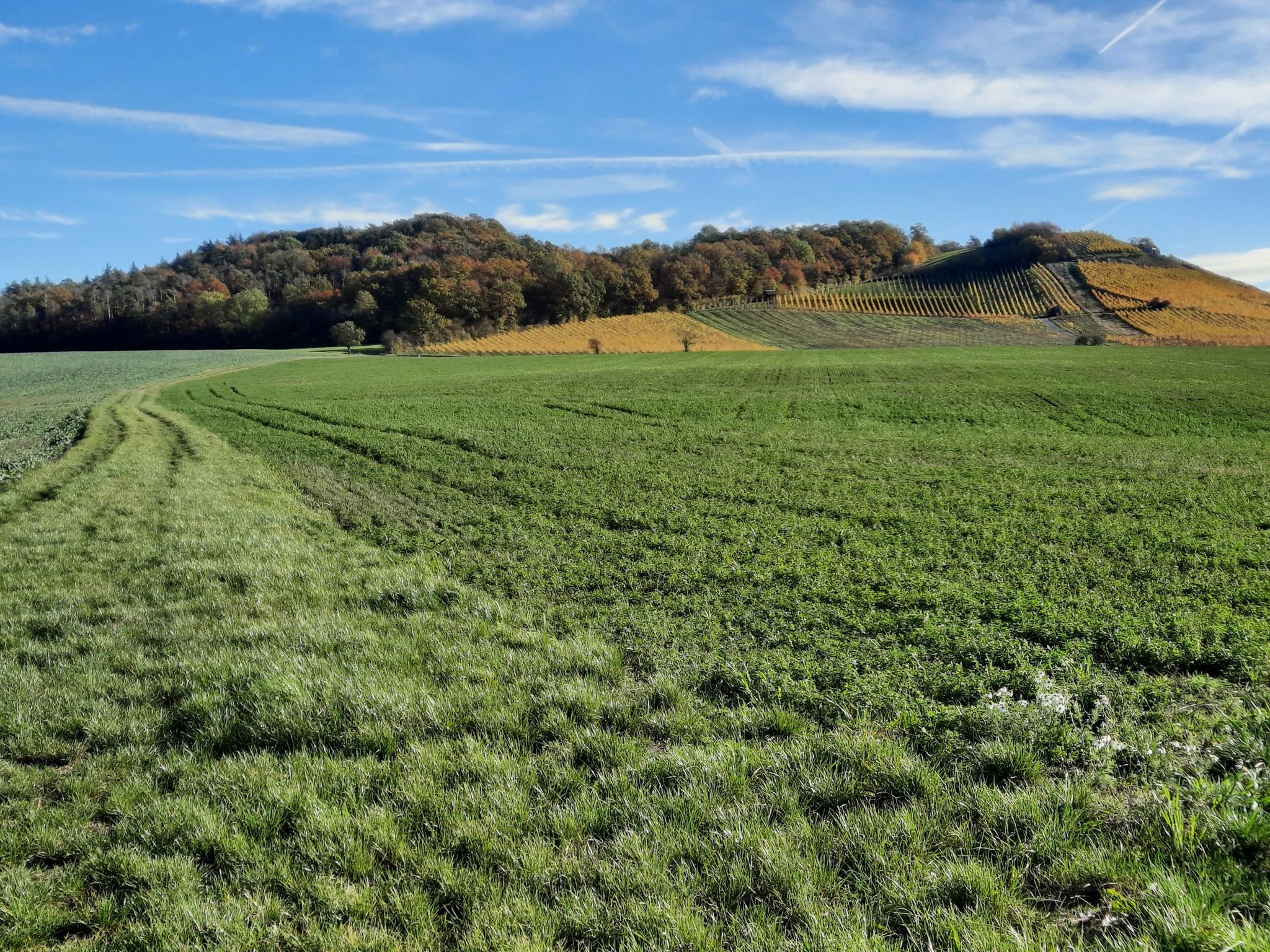 Wiesenwanderweg zum Seelenberg oder auch Hütershügel