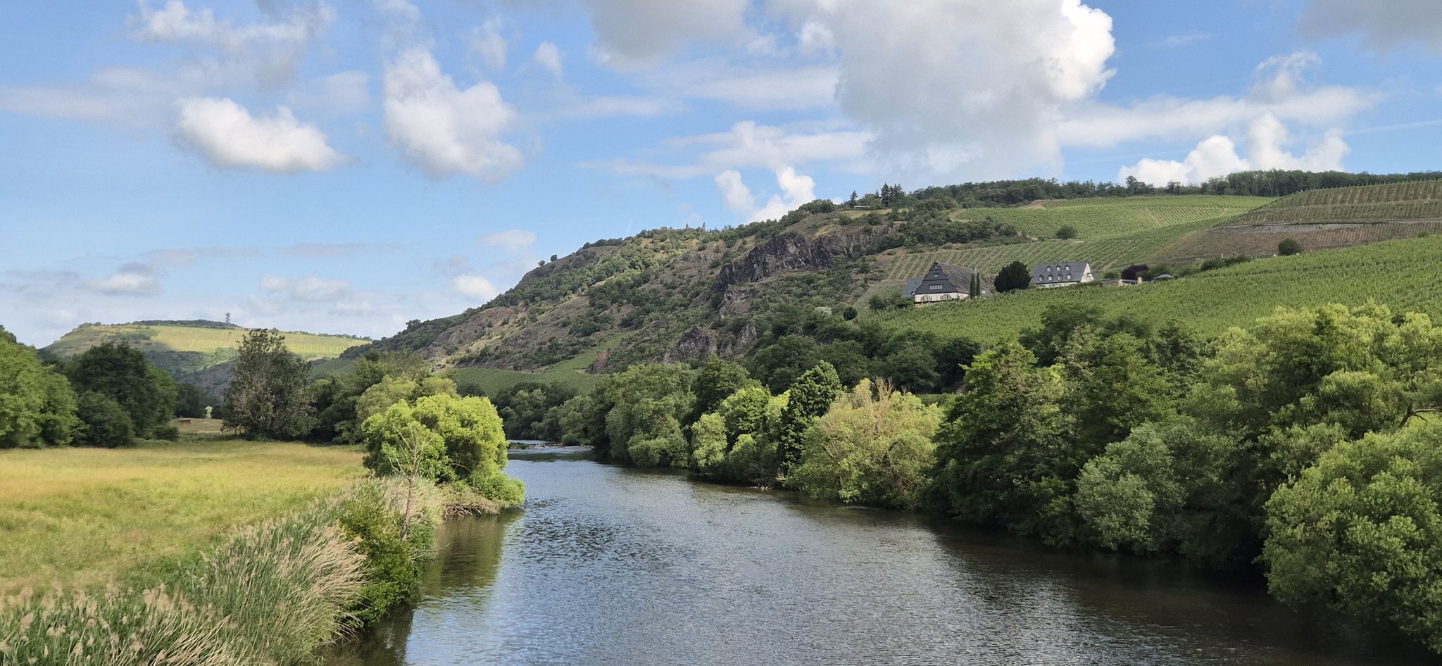 Blick über die Nahe zu den Weinbergen Hermannshöhe