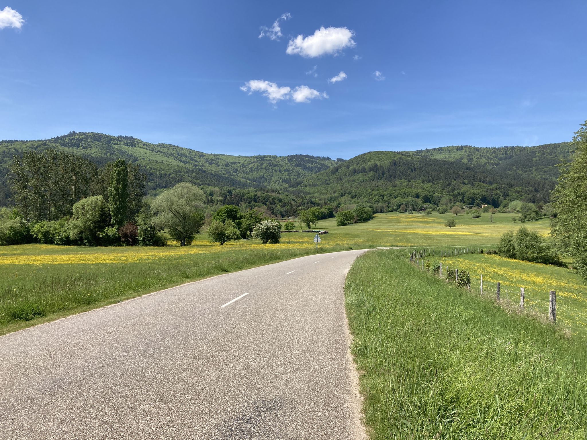 D40 bei Wintzfelden