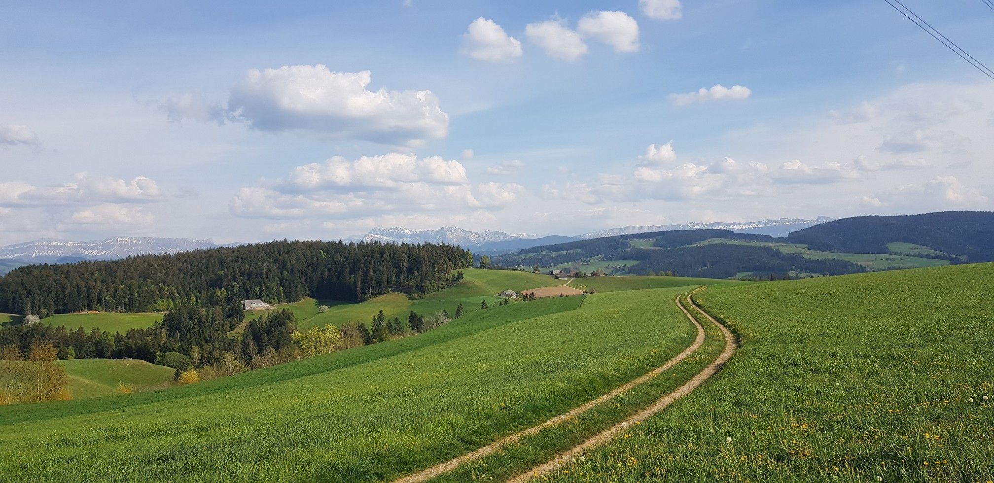 Häuslenbach