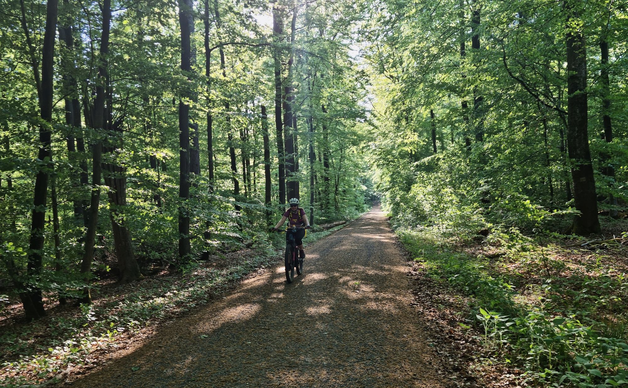 Angenehm schattige Fahrt auf der Hohen Straße durch den Steigerwald