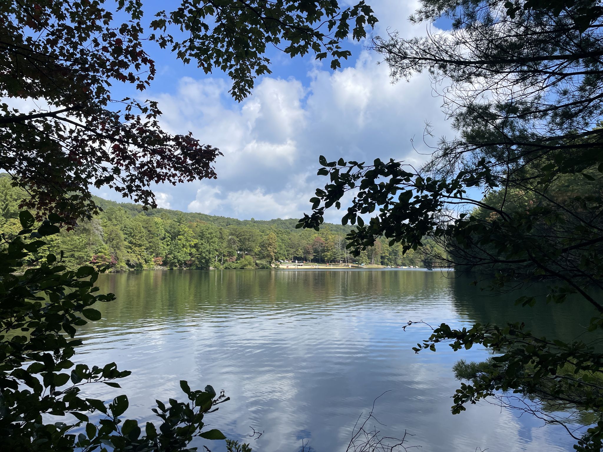 A serene lake framed by dark tree branches, reflecting a cloudy sky. - Big Rock Nature Trail