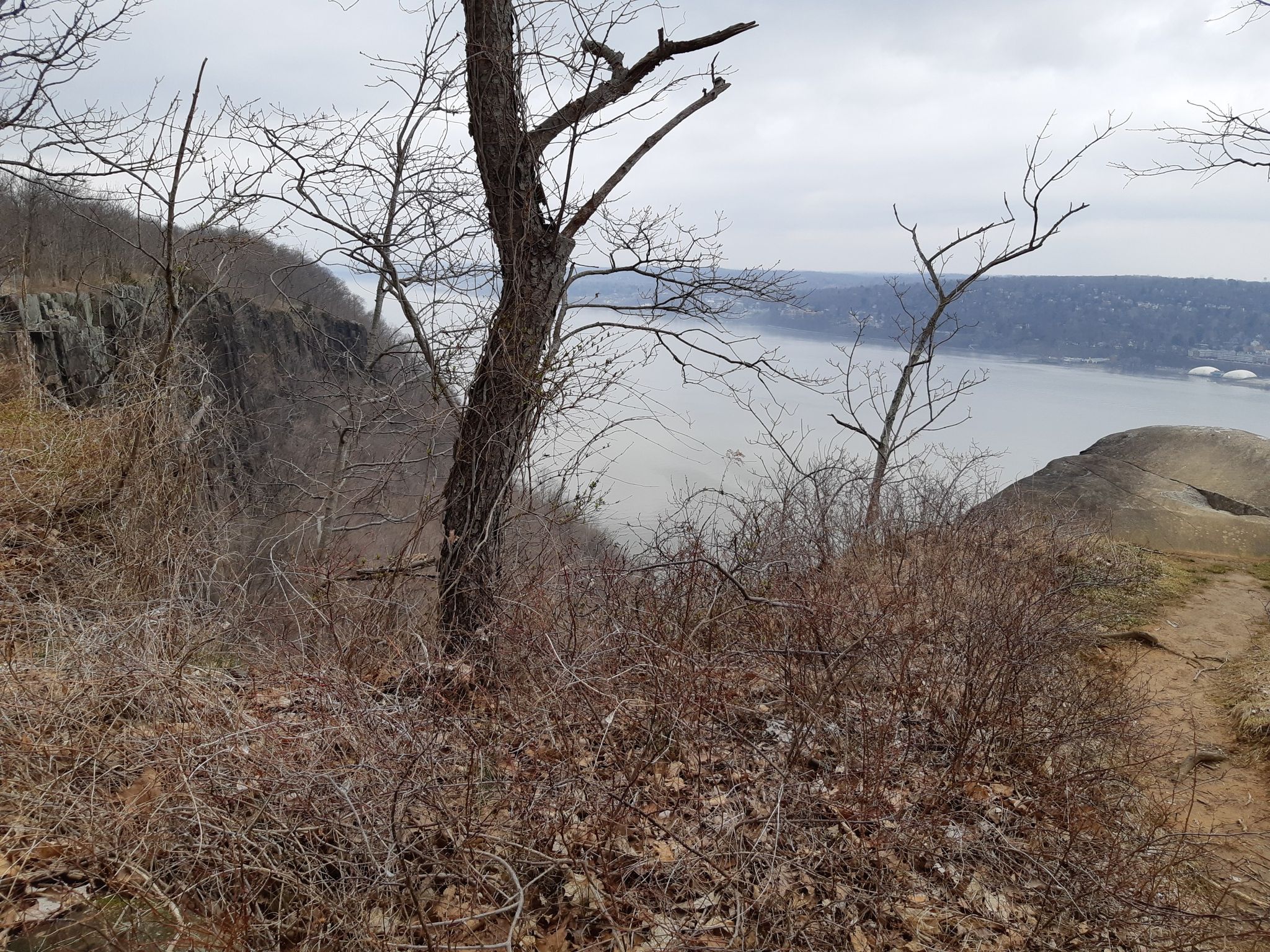 Bare trees and dry bushes on a hillside overlooking a wide river. - Peanut Leap Cascade via Long Path