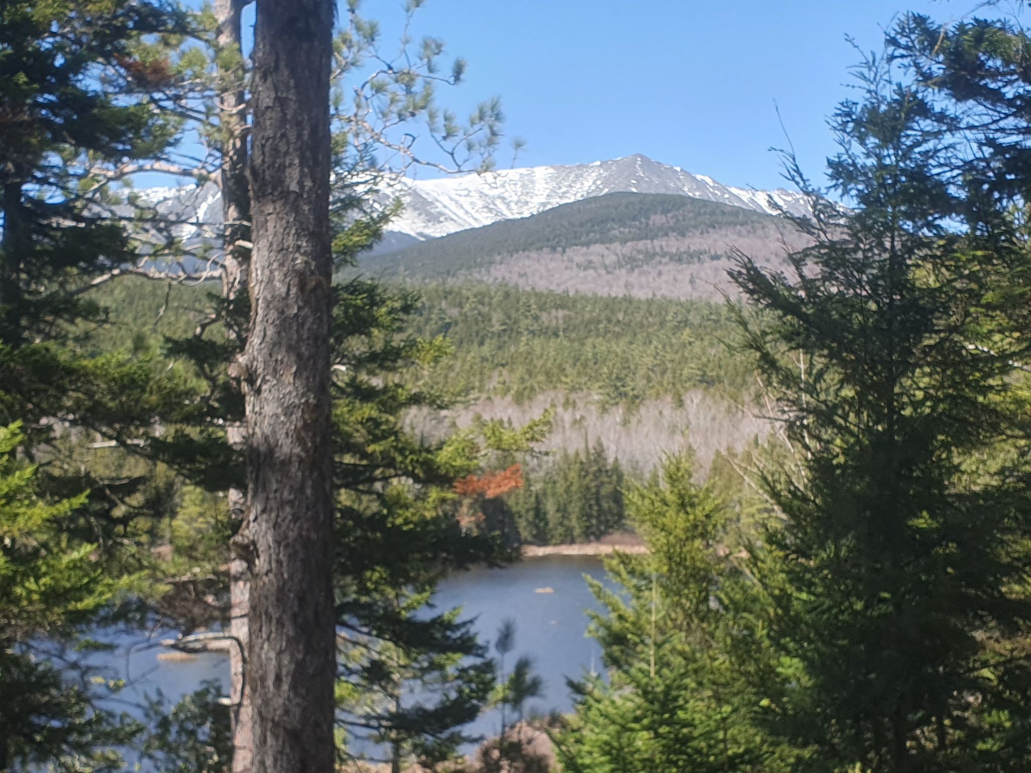 Snow-capped mountains overlook a serene lake framed by green pine trees. - Togue Pond to Katahdin Stream Campground via Park Tote Road