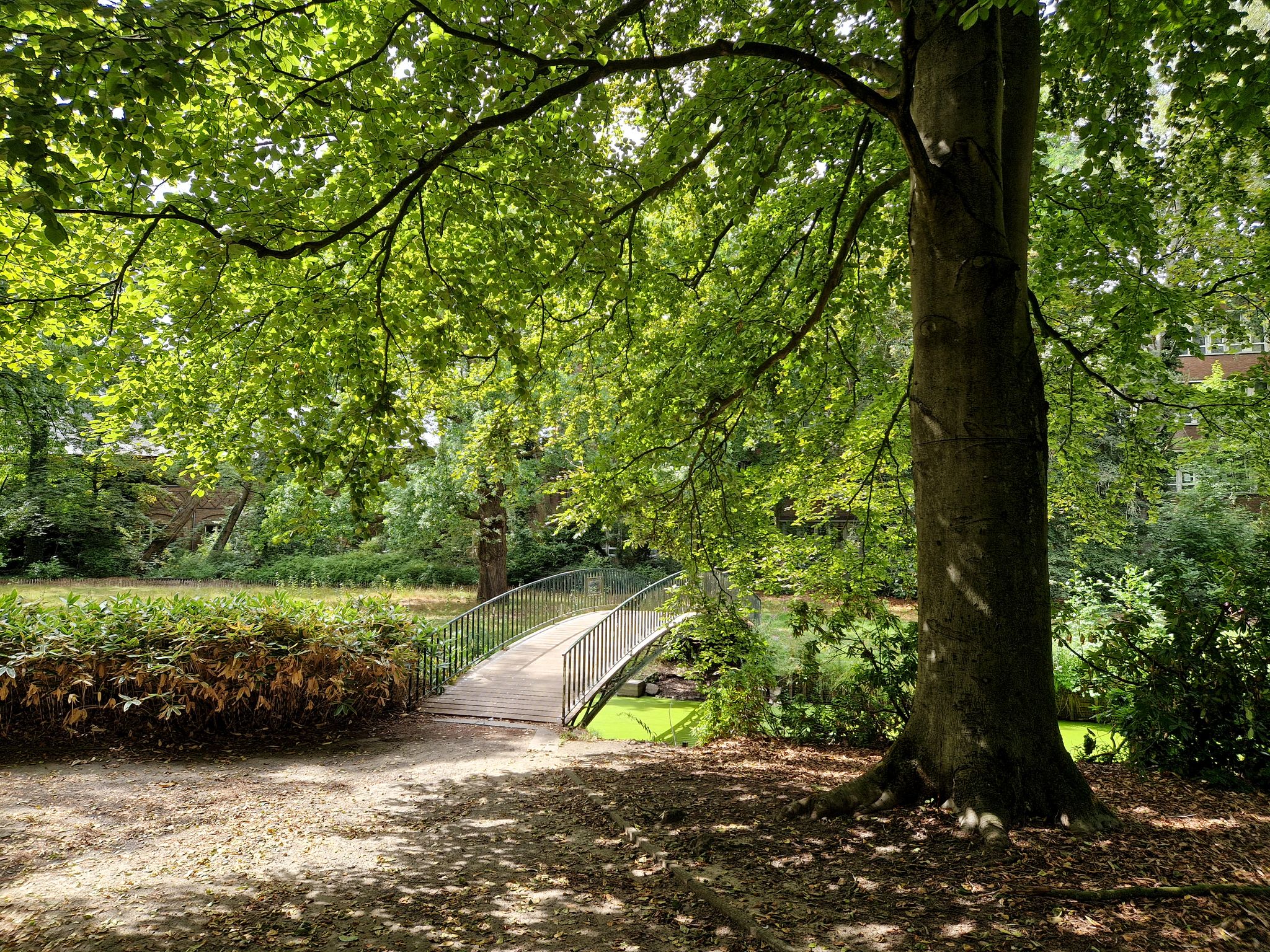 Het openbaar Maaltebruggepark is aangelegd in de Engelse landschapsstijl