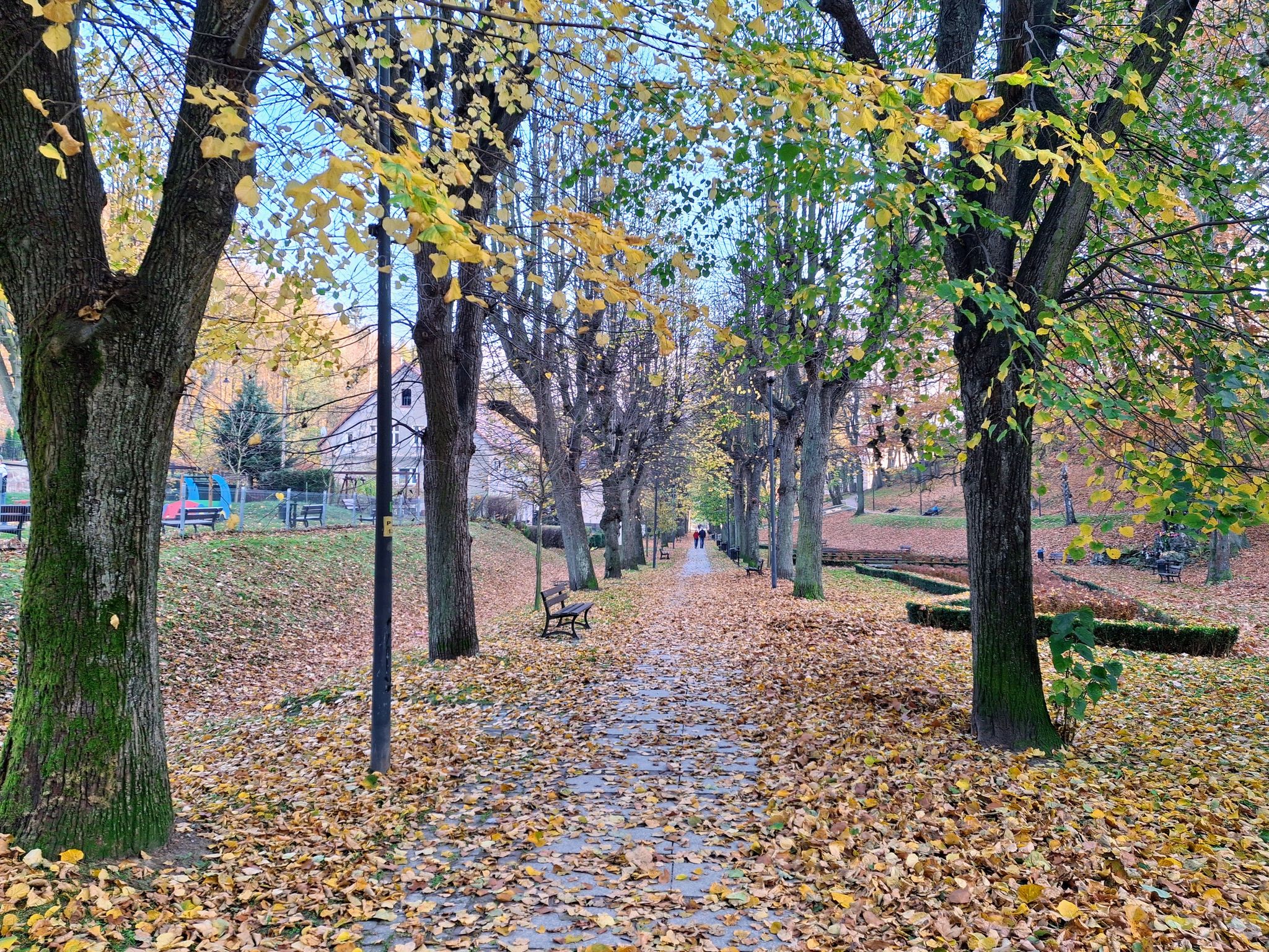 Park Zdrojowy. Aleja Niepodległości (Jedlina-Zdrój).