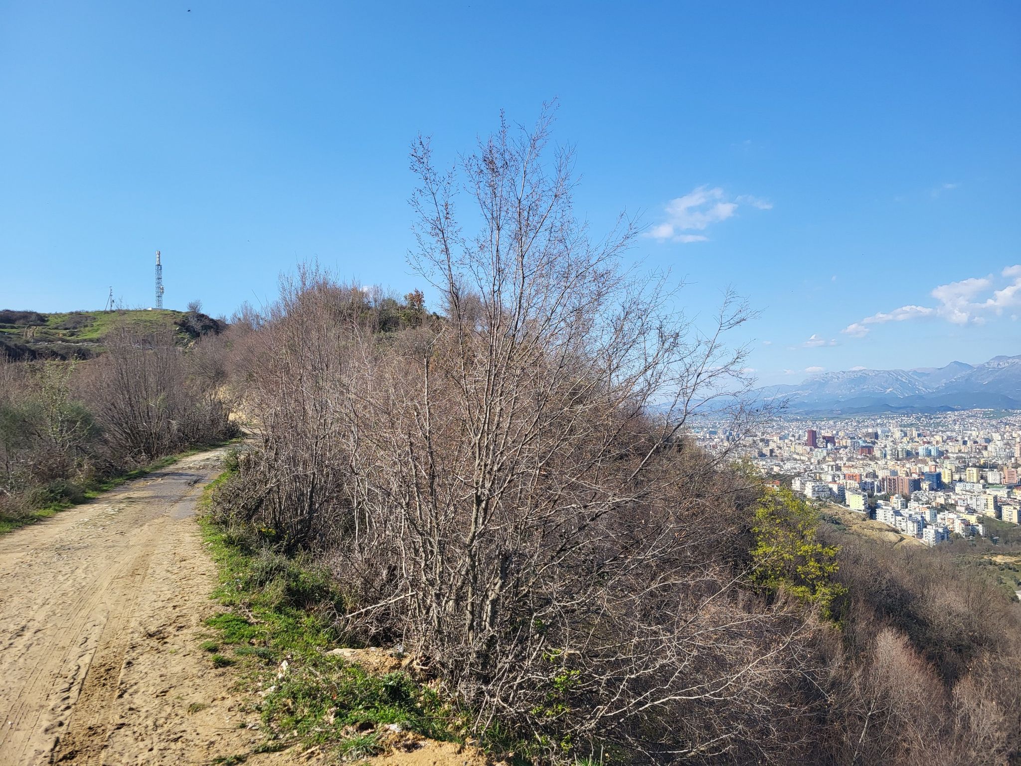 turm