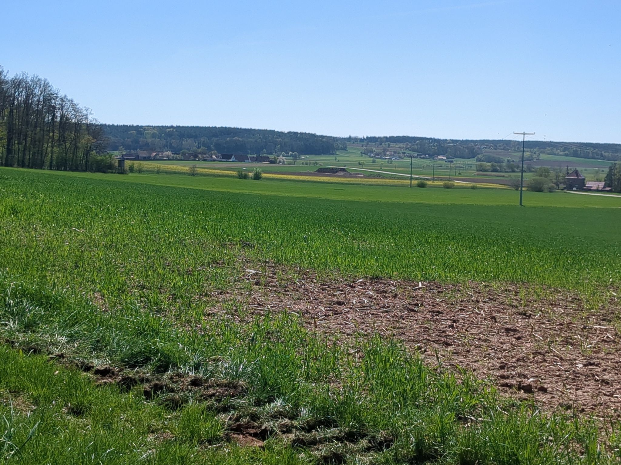 Blick ins Altmühltal 