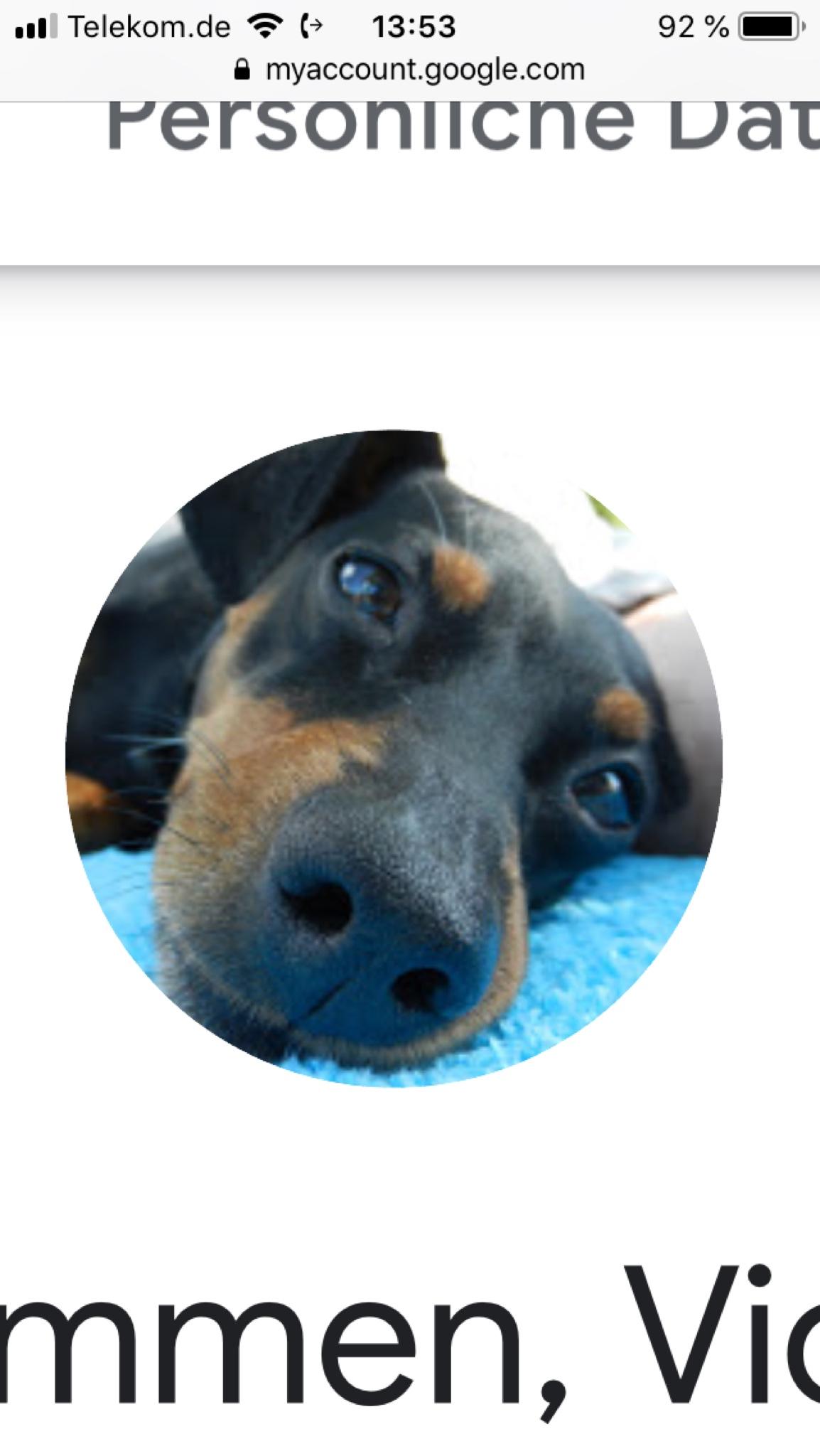 user avatar