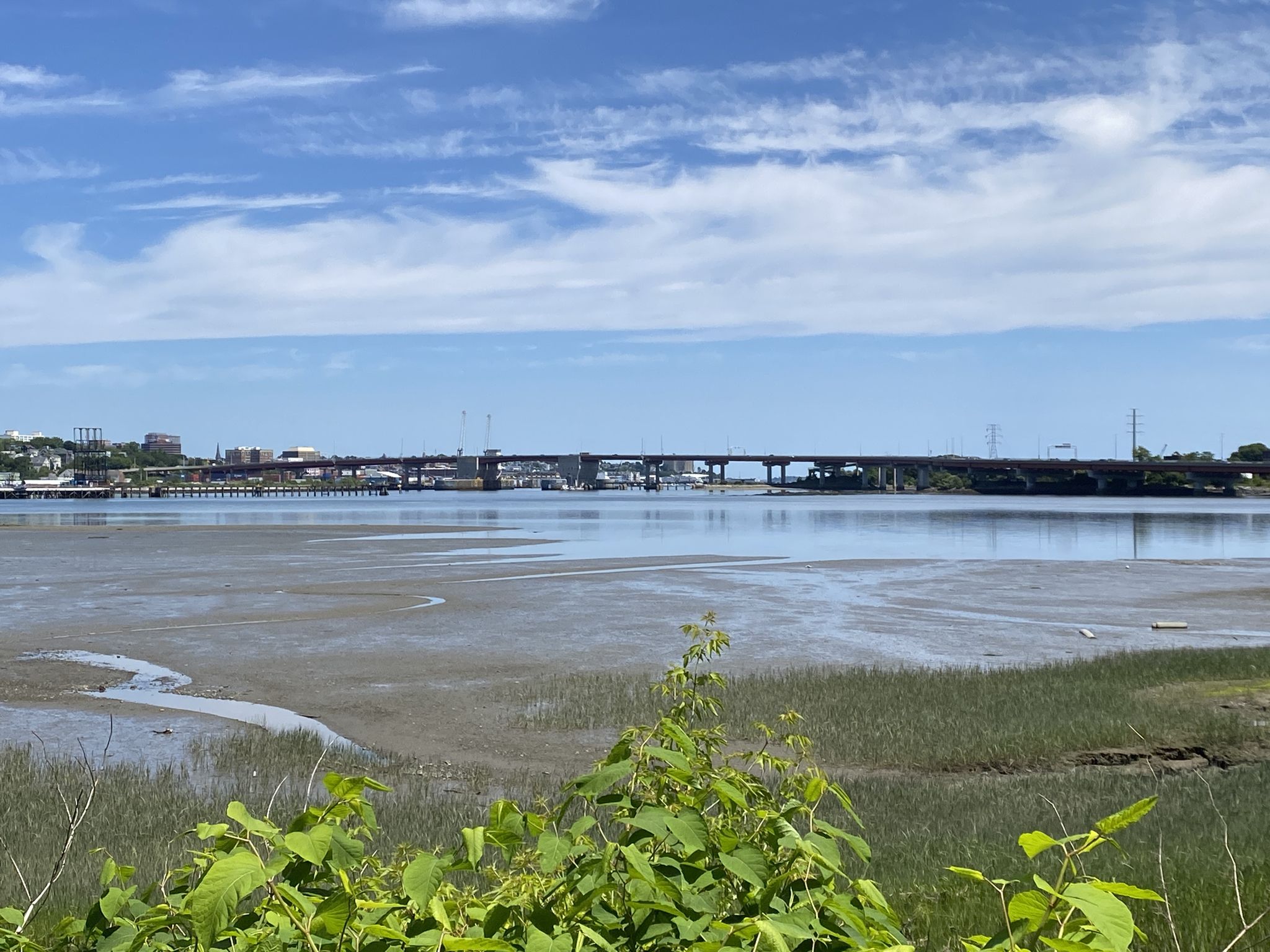 Mudflats and water with a distant city skyline and bridge under blue sky. - South Portland Greenbelt Walkway