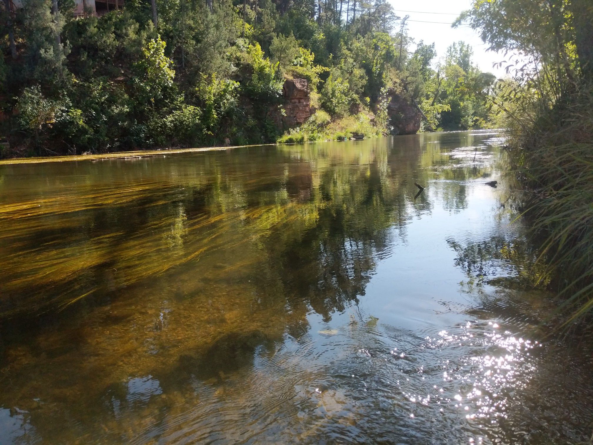Clear river with green underwater plants, surrounded by lush, sunlit banks. - Leonard “Swanny” Swanson Memorial Pathway
