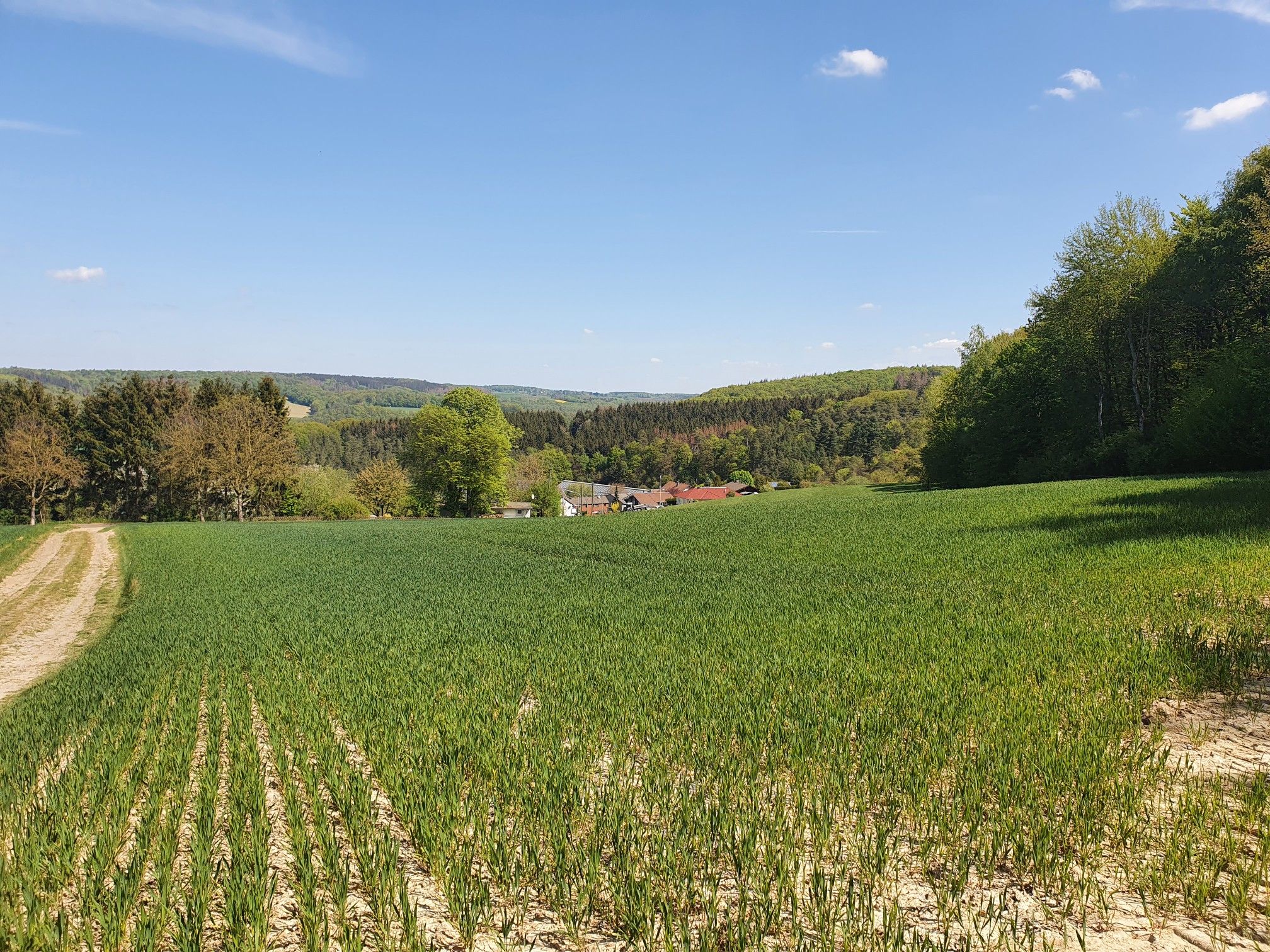 Eulenberg