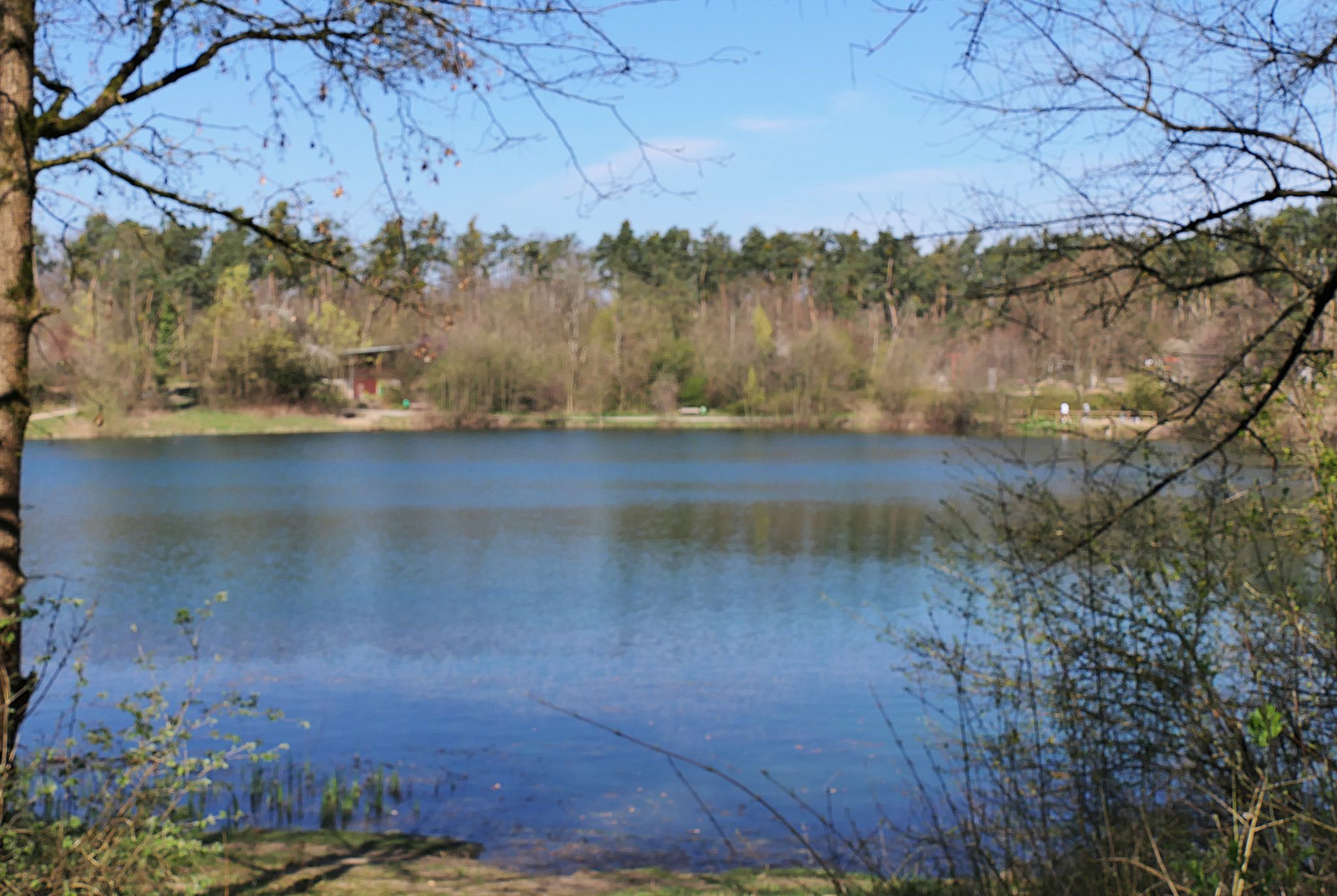 Waldsee