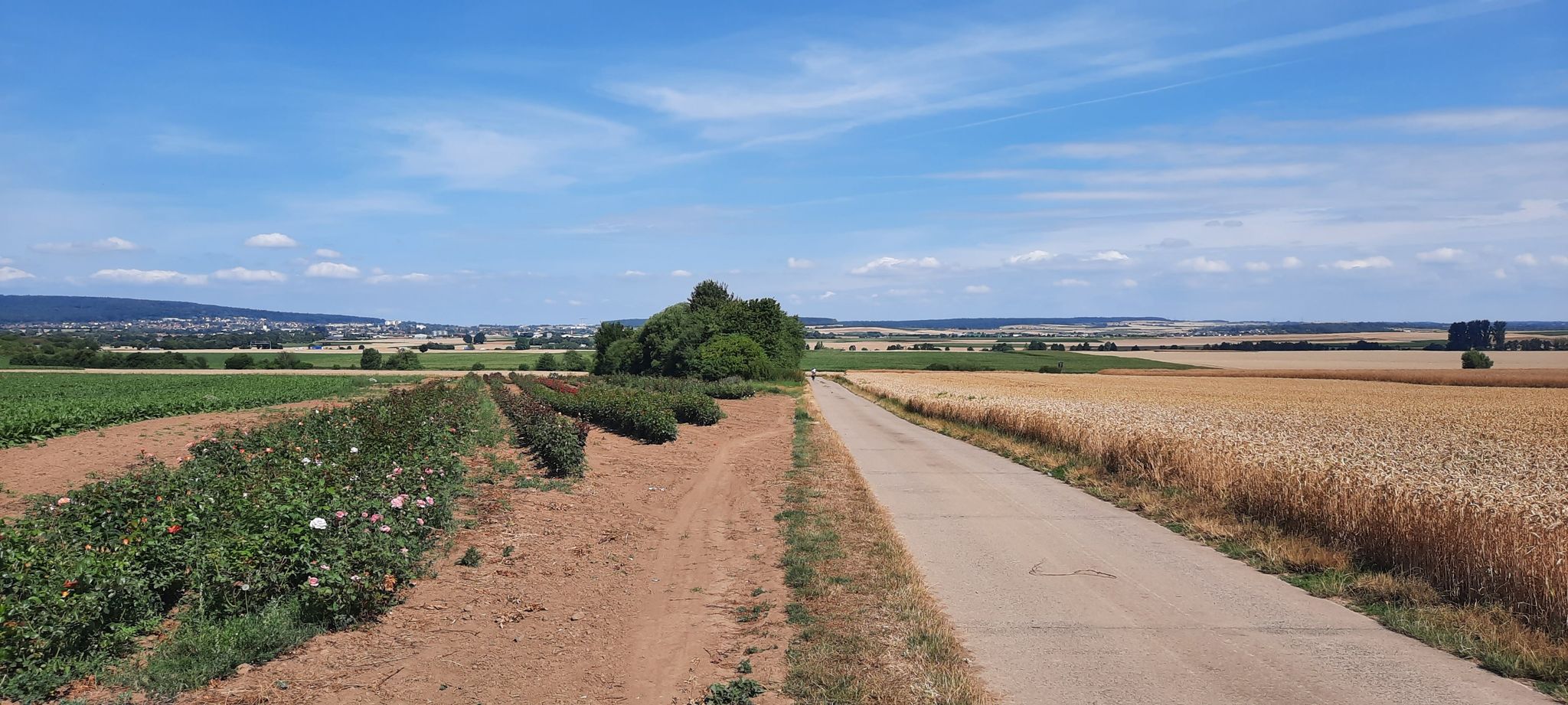 Kurze-Wetterau-Radweg "In der Meerfeld"